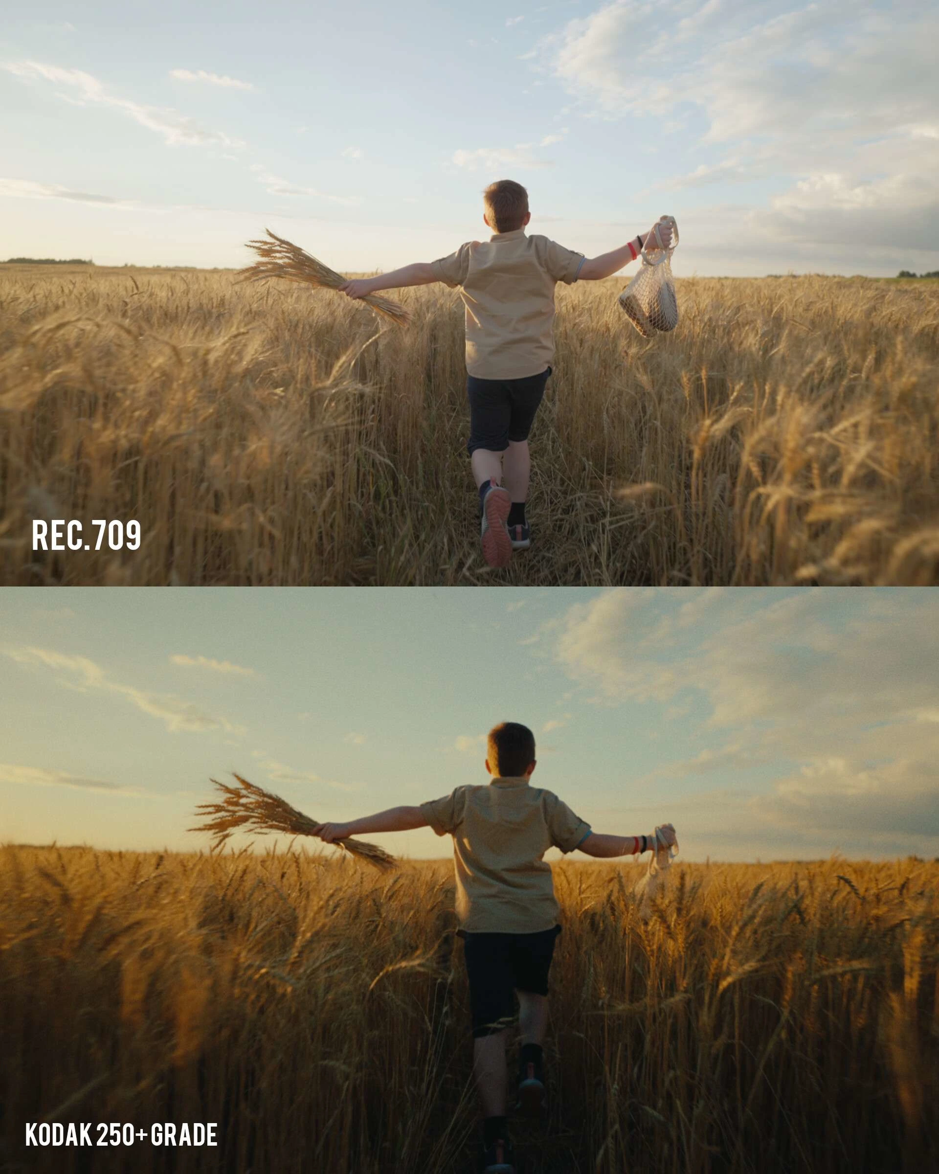 BEFORE / AFTER