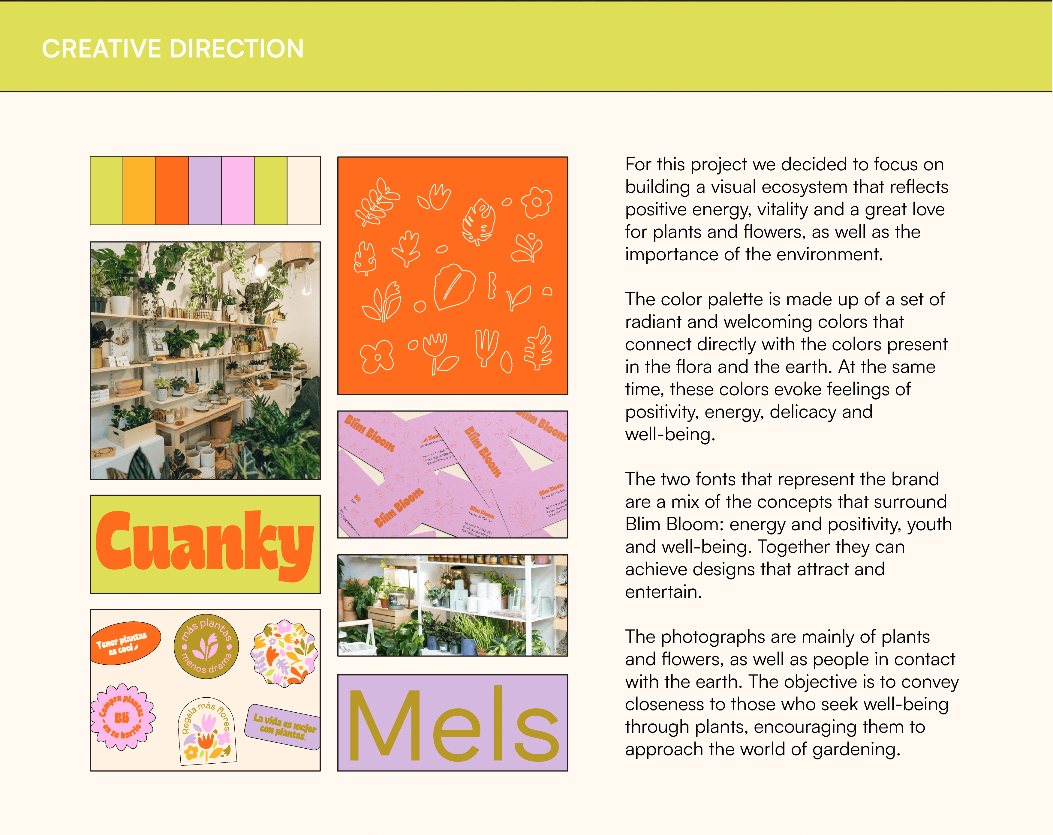On this image you can appreciate the project's Creative Direction. An overview of the brand's look and feel and a little explanation on what I based my graphic desicions.