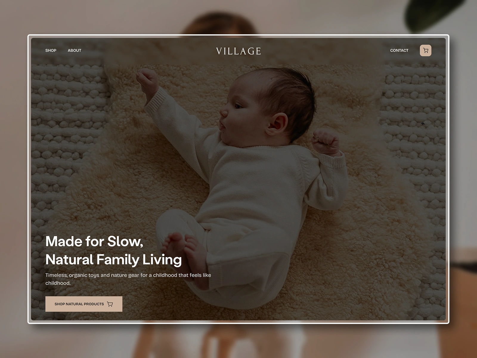 Hero Section of the Homepage