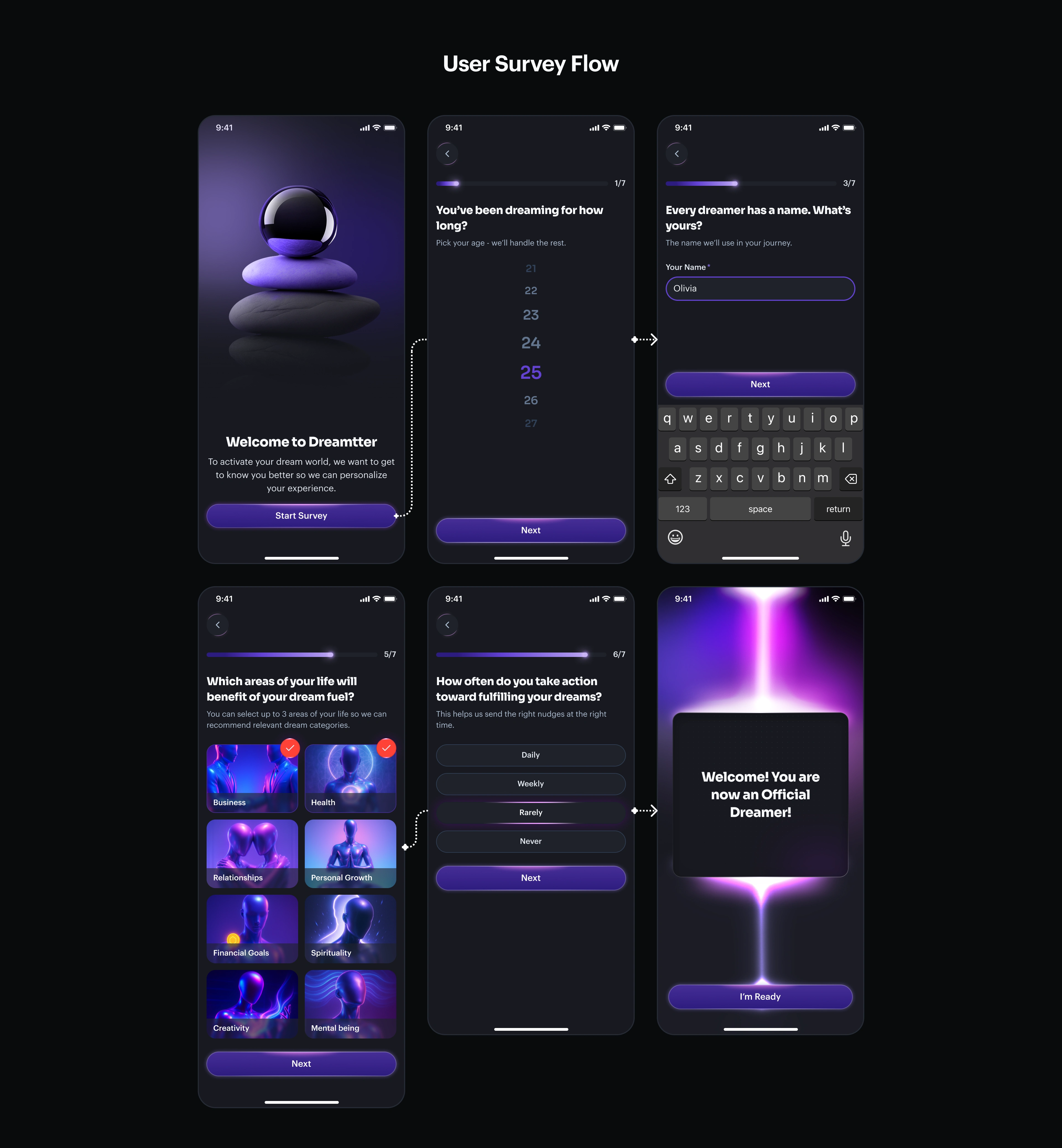 User survey flow