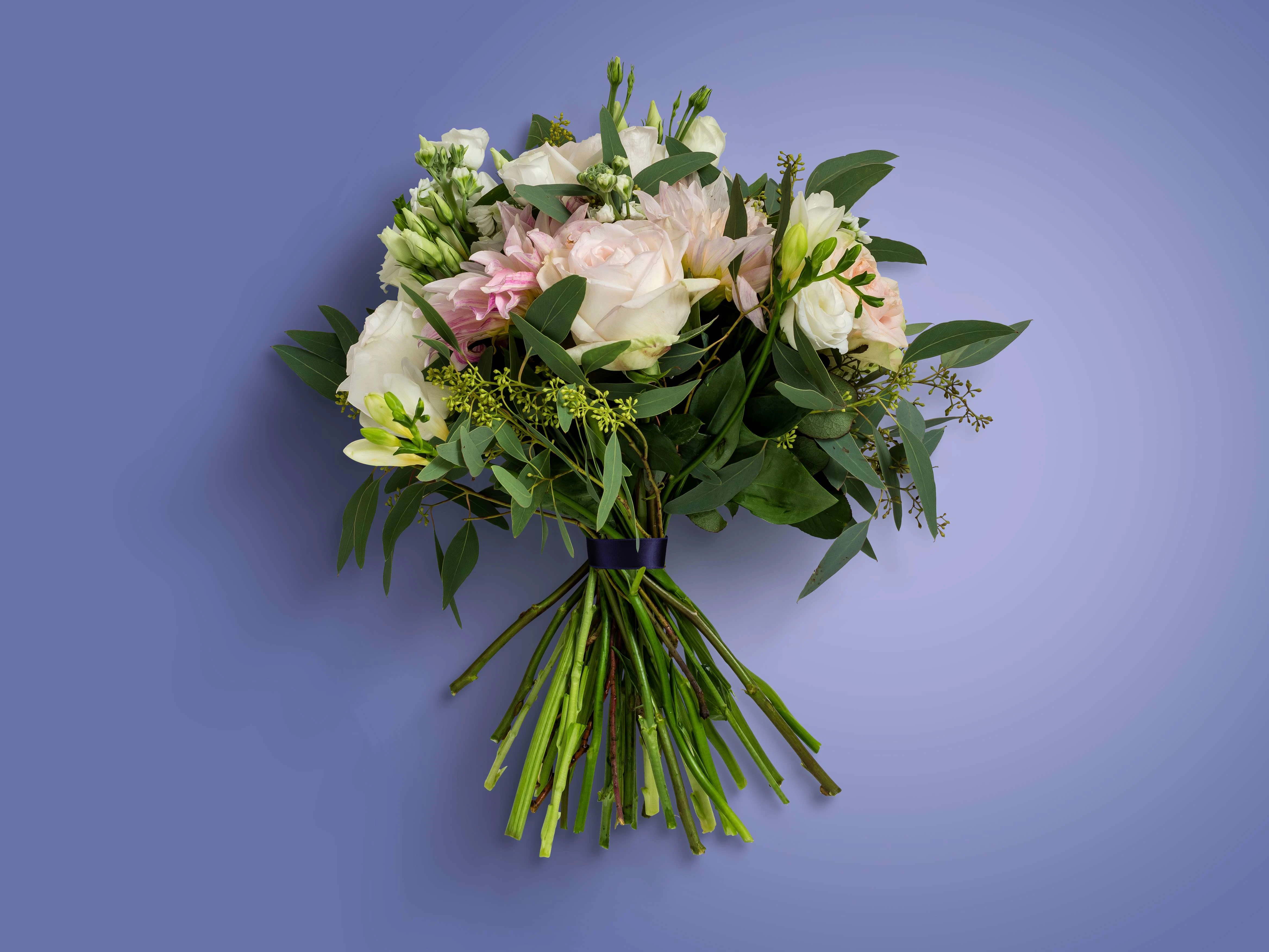 Visual Asset created for QuickStem's pre-launch brand toolkit.