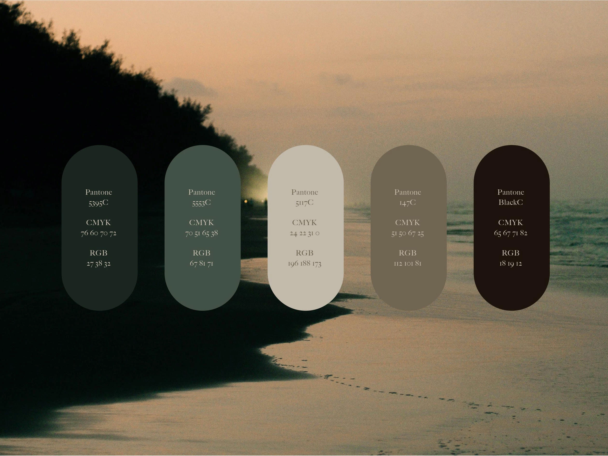 Brand color palette