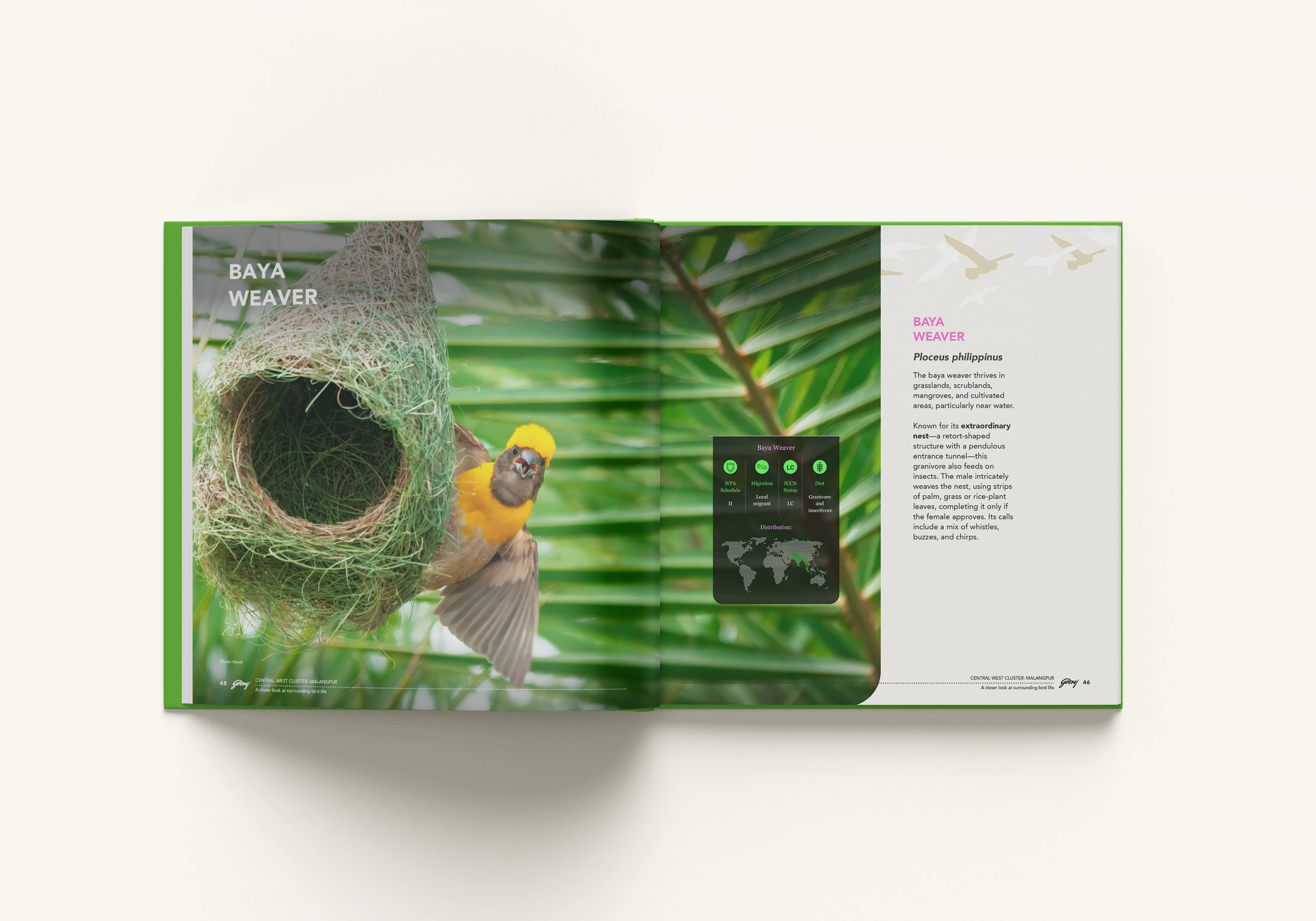 Inside Page Layout