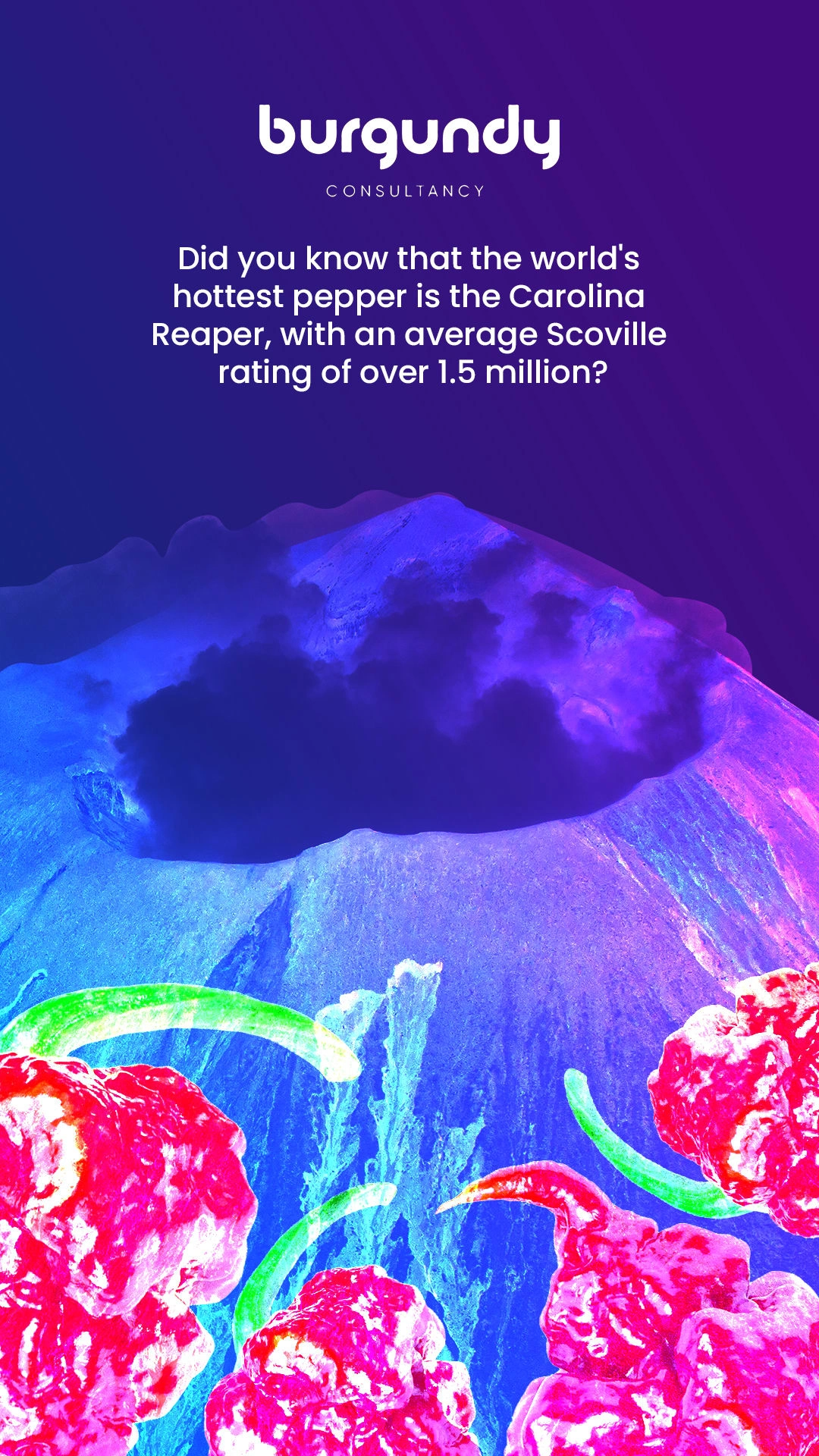 Fun Fact Story Post for Instagram
