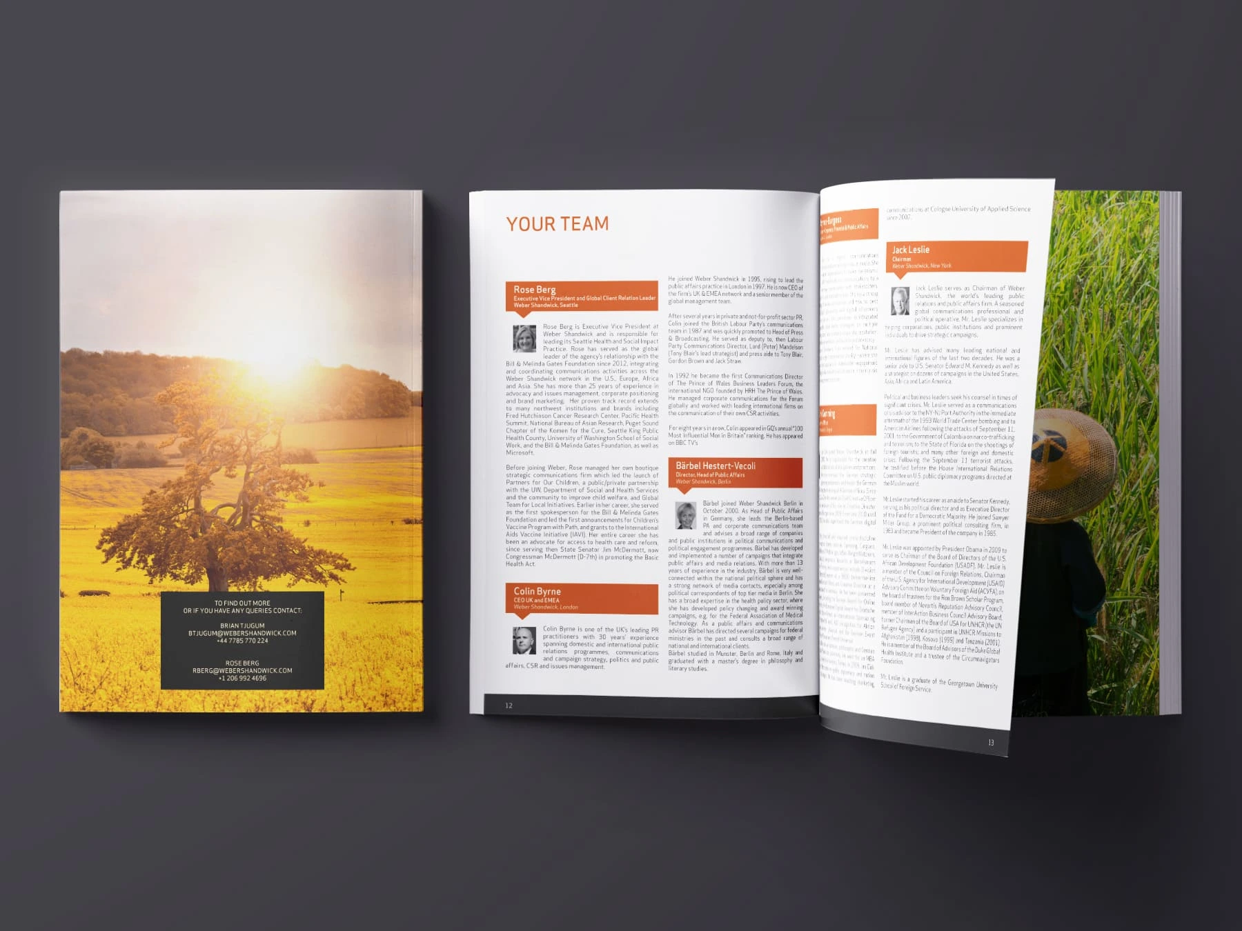 Back cover and publication spread