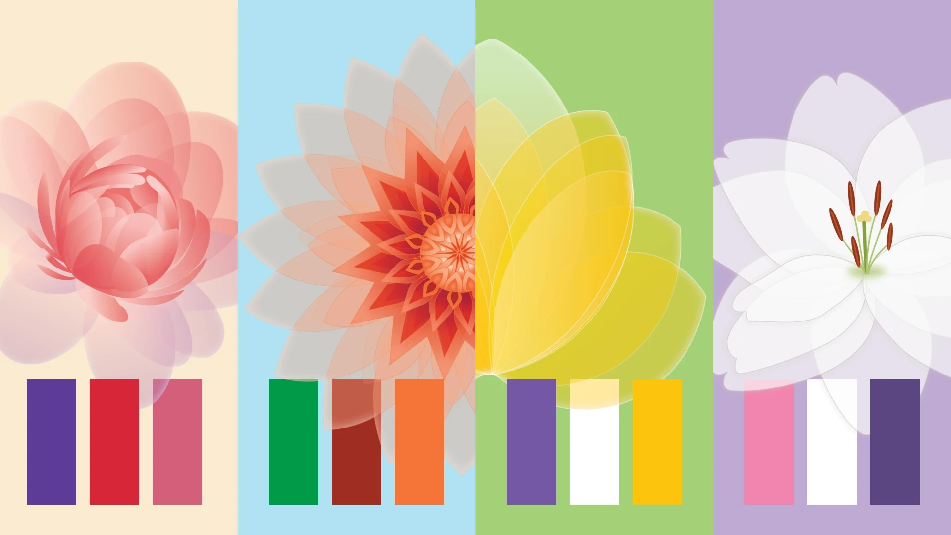 The core idea was to visualize softness and reliability through multi-petaled floral motifs. Each product in the line has a unique identity represented by a specific flower: peony, lily, tulip, dahlia. Color differentiation follows a principle of saturation and contrast for shelf impact.