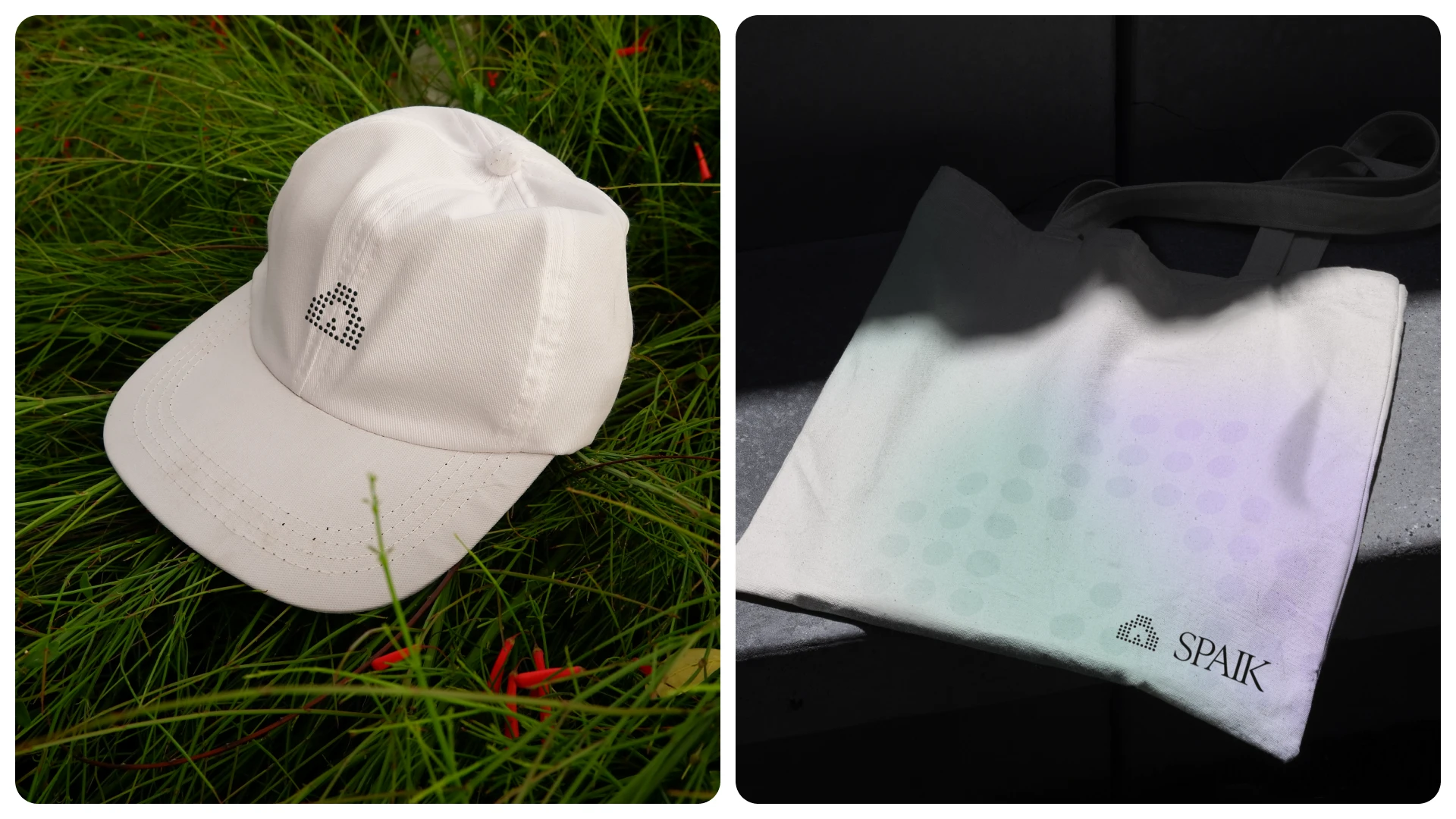 Merch - Cap & Tote Bag