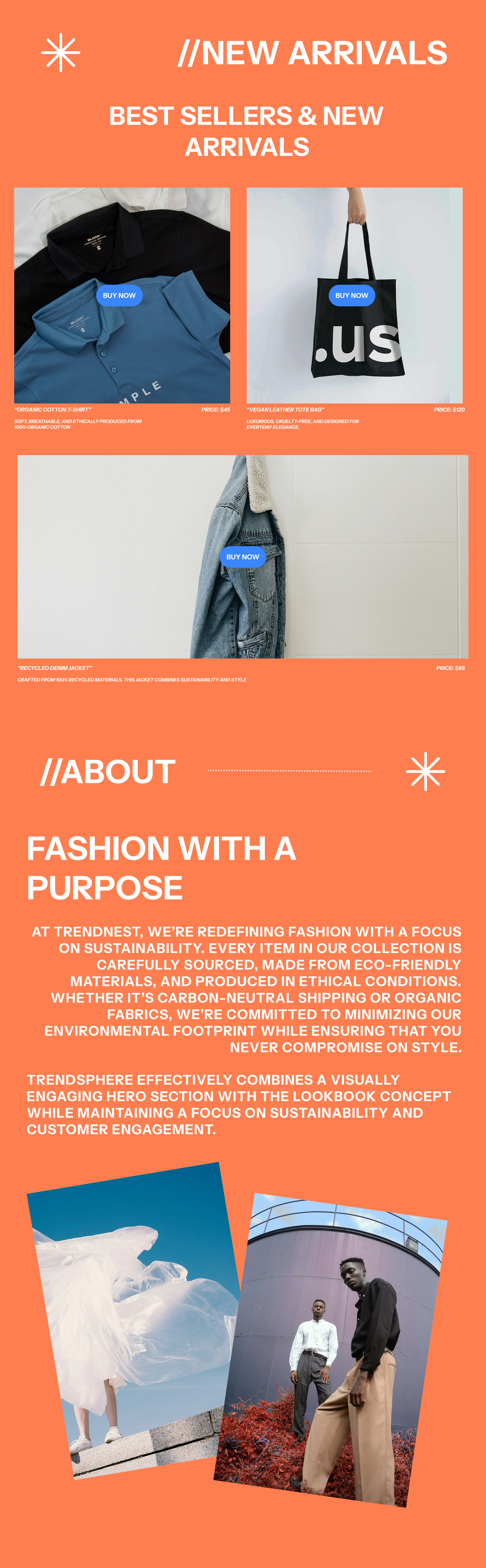 Other Landing Page Sections