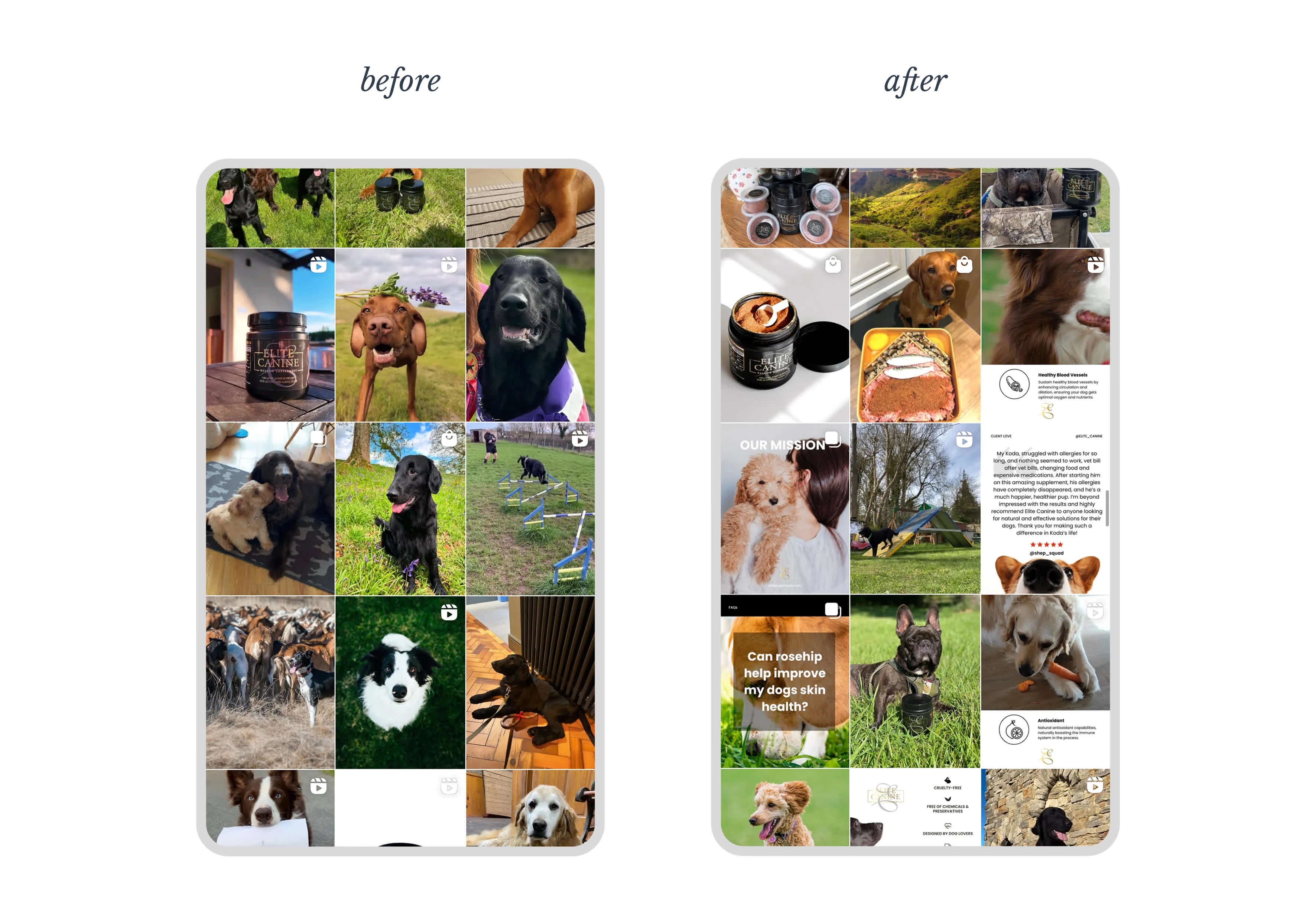 Before & After feed