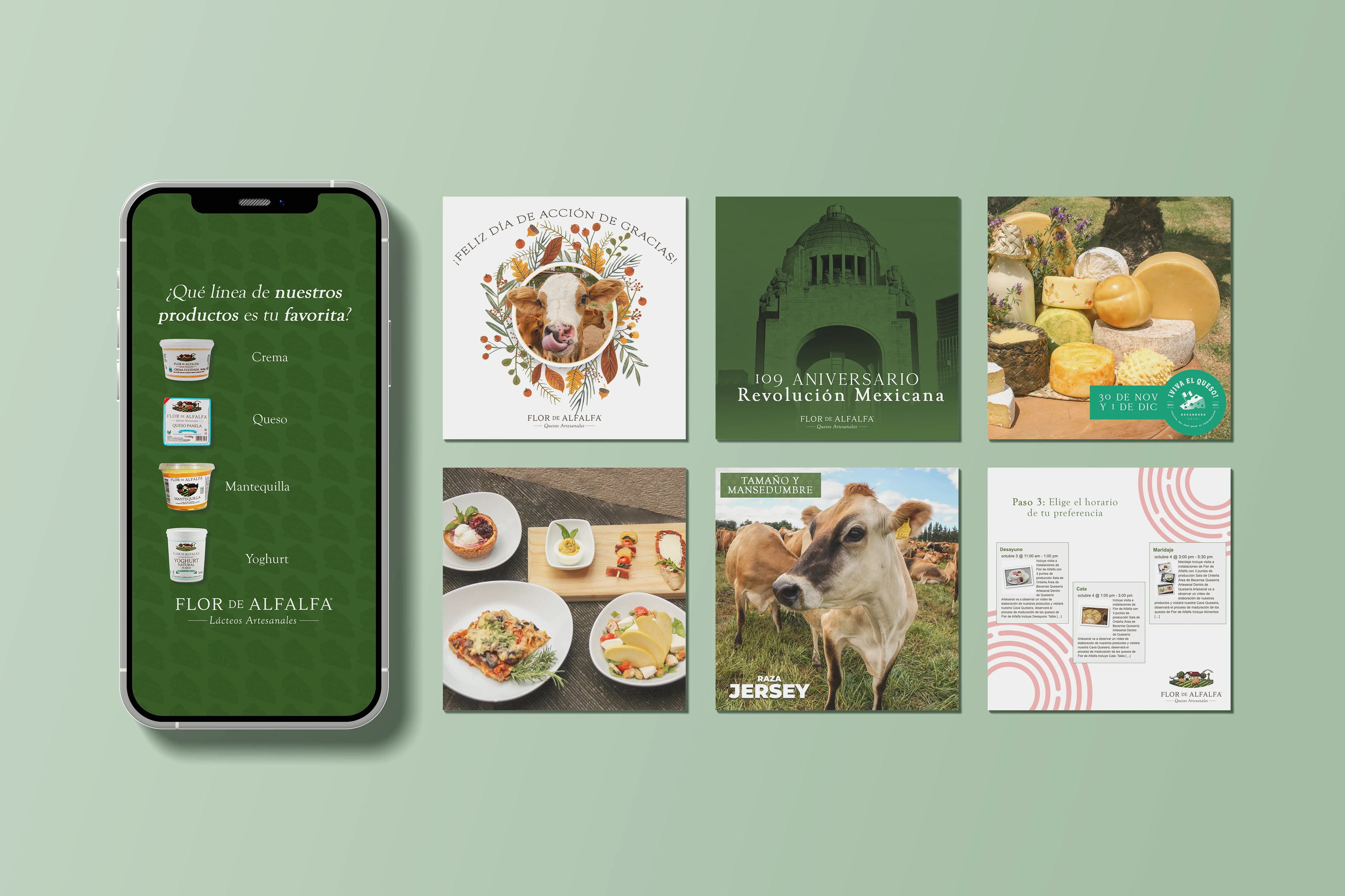 Social Media Management and design for Flor de Alfalfa