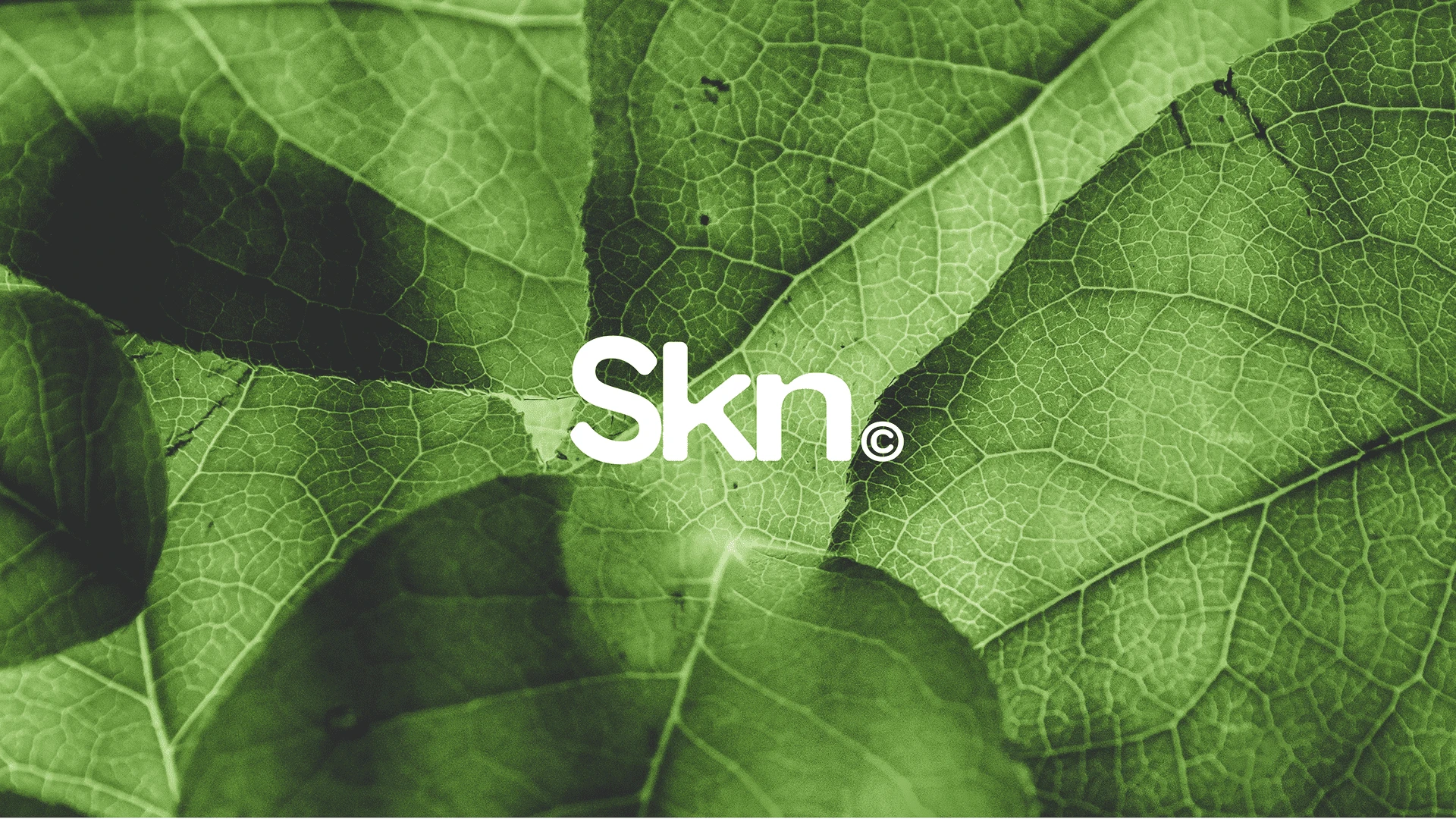 Wordmark
