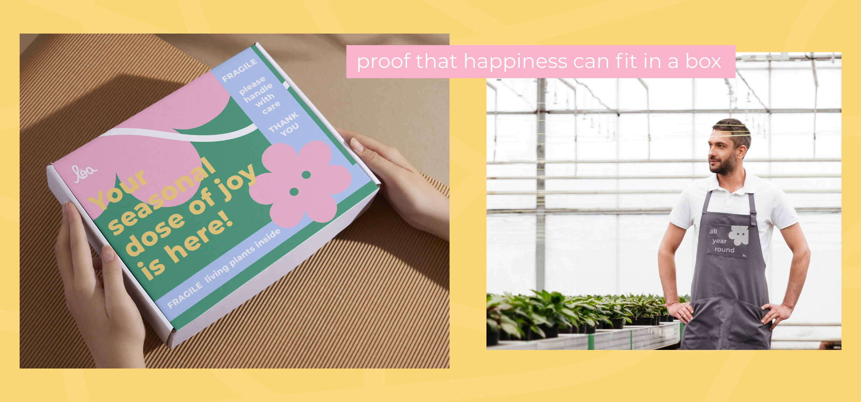 Brand's Packaging & Uniforms