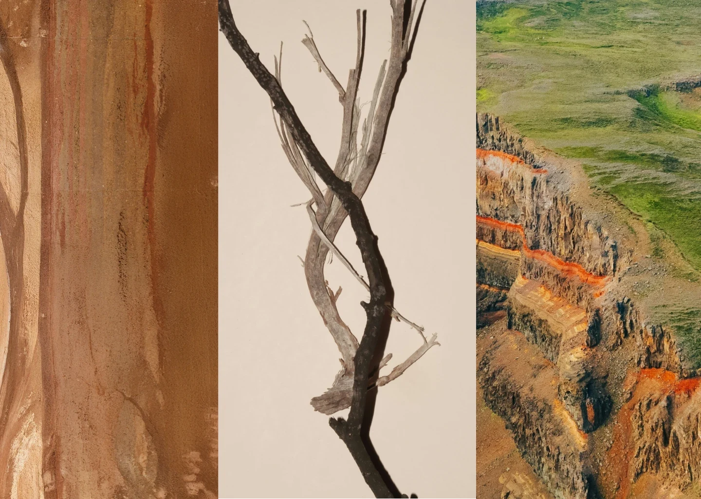 Moodboard triptych with earthy textures: bark-like surface, ochre tones, and dry branches.