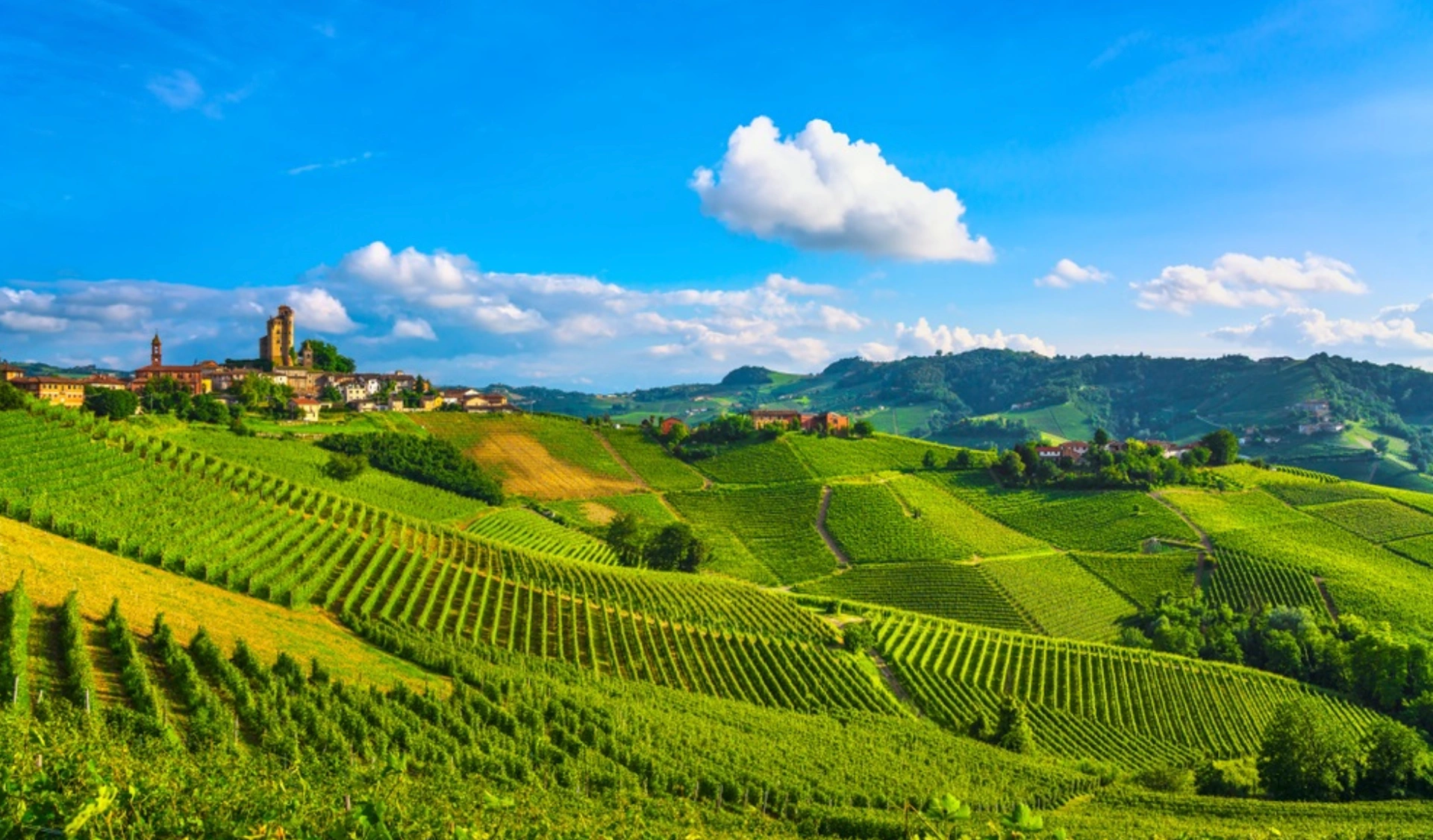 Savoring Piedmontese Cuisine: Exploring the Land of Barolo and Barbaresco
