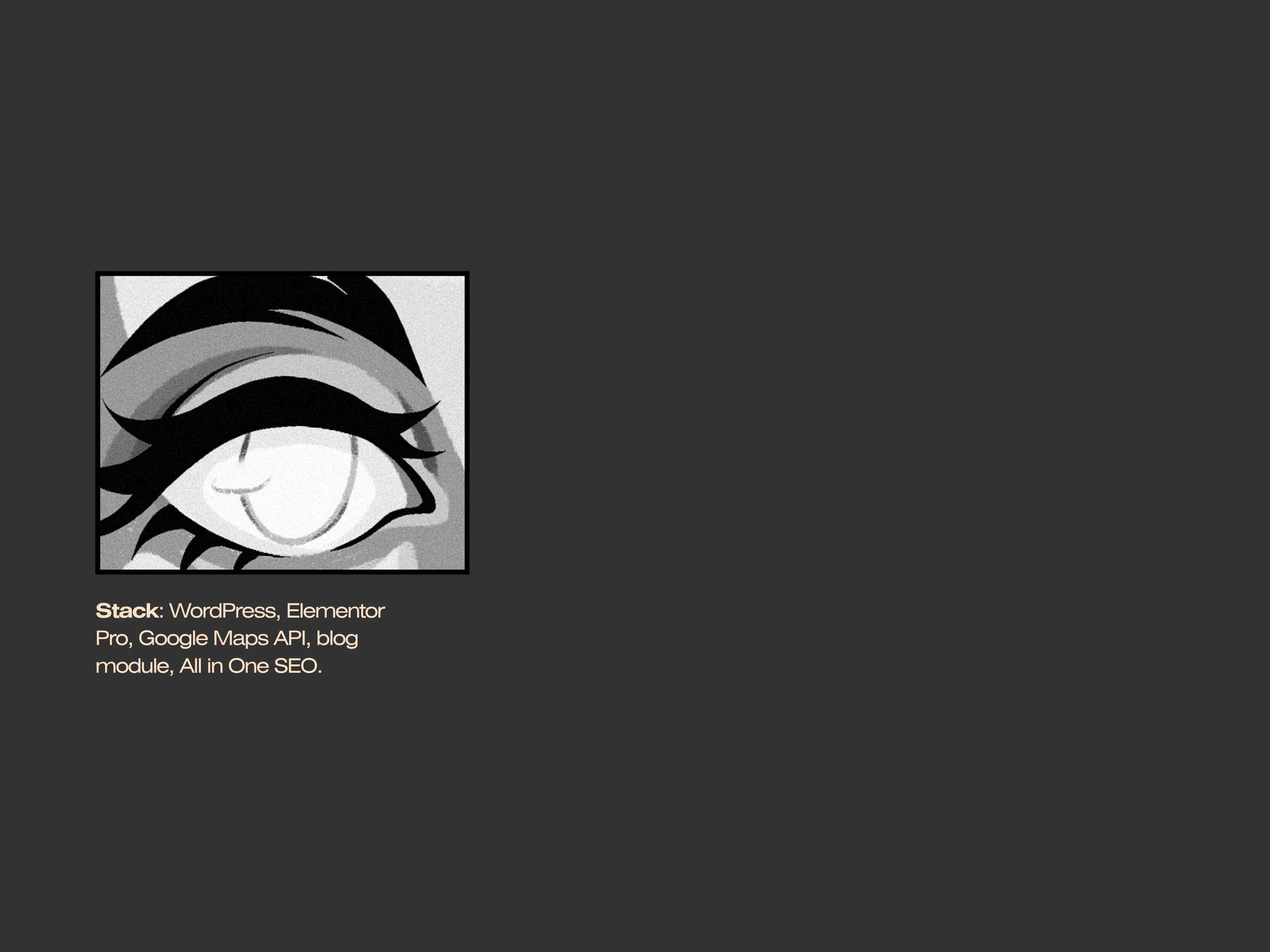 Stack: WordPress, Elementor Pro, Google Maps API, blog module, All in One SEO.