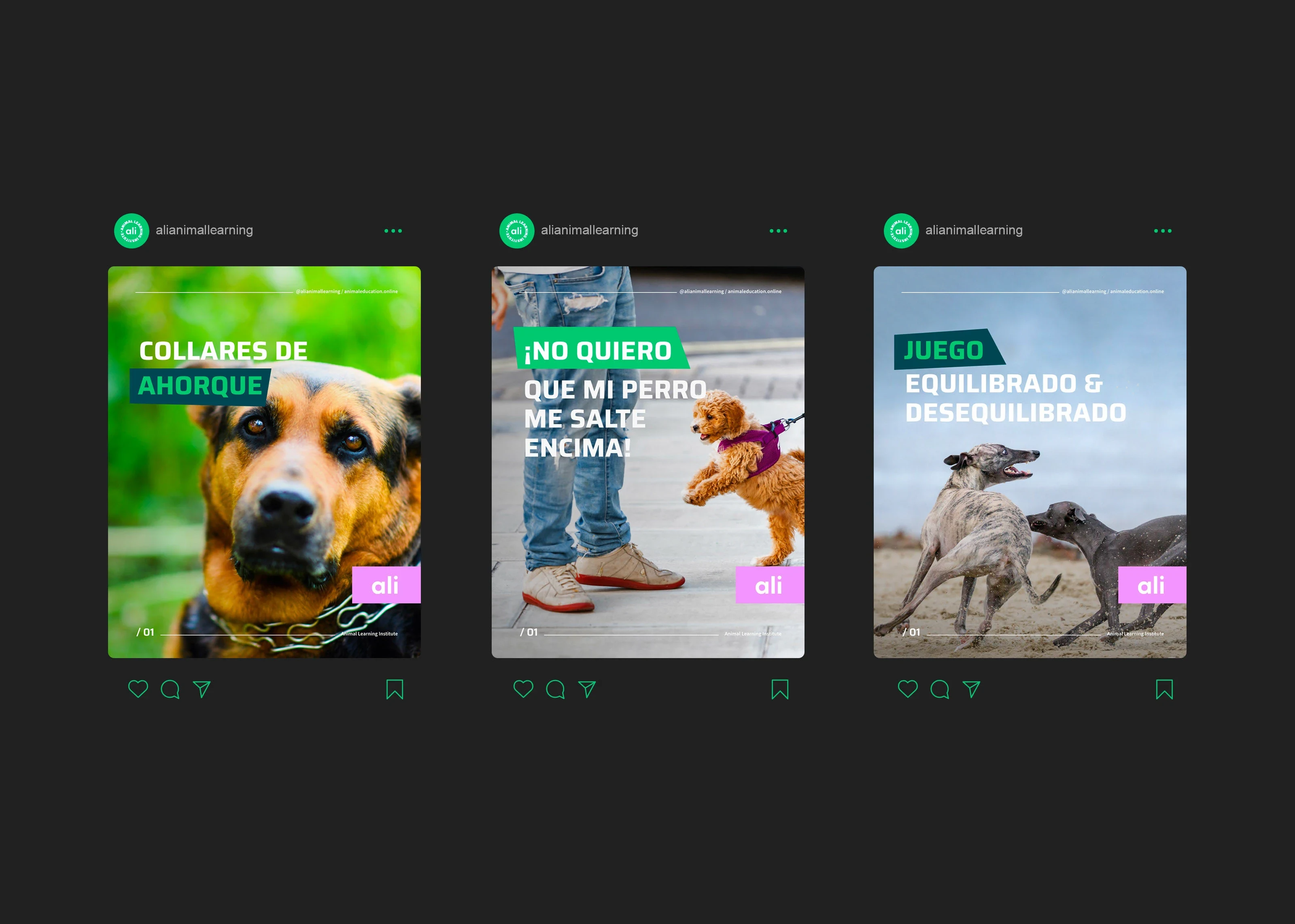 Social Media Assets for ALI / Animal Learning Institute