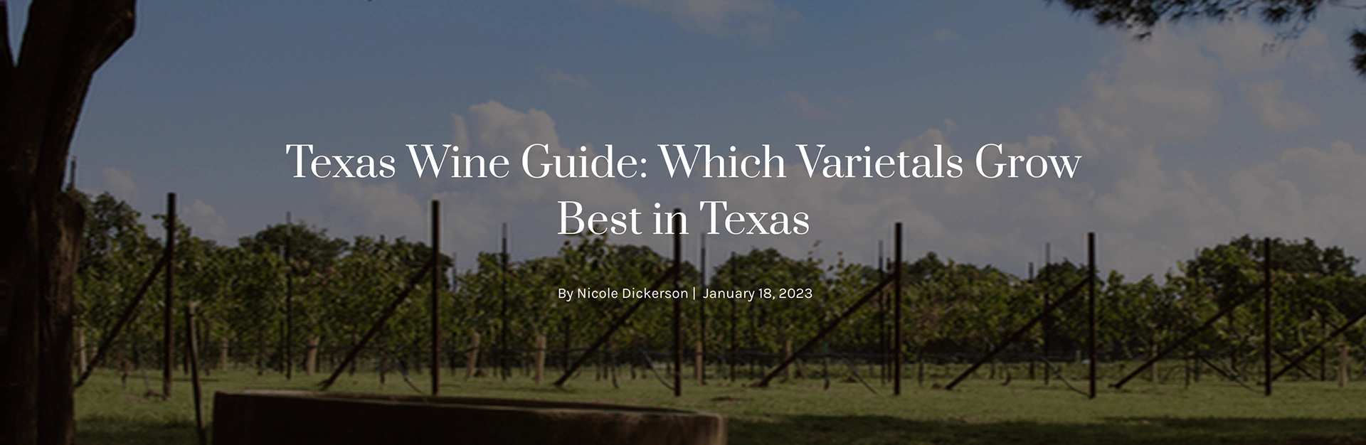 Barons Creek Vineyard: Texas Wine Guide: Which Varietals Grow Best in Texas