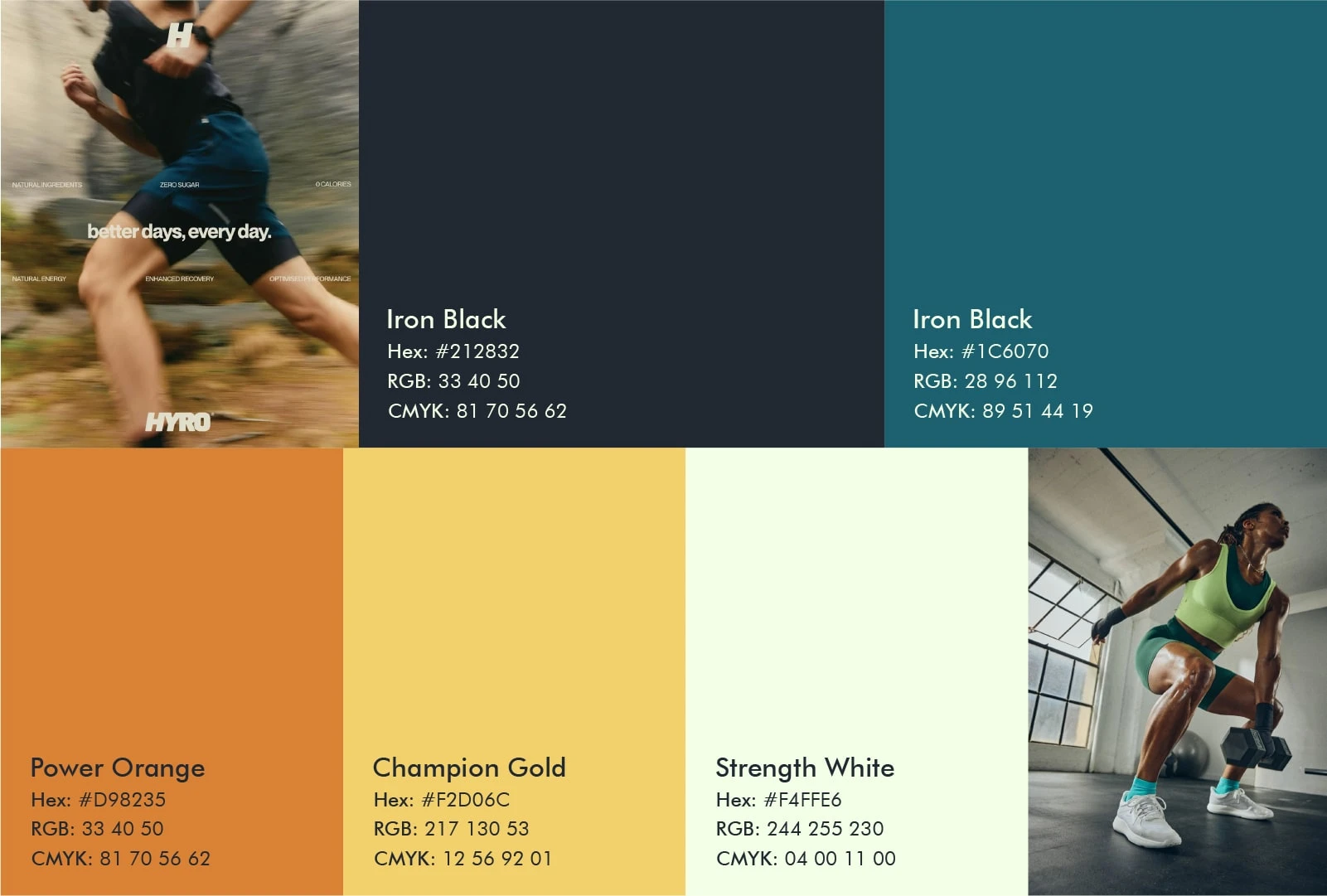 Muscle Craft - Color Direction