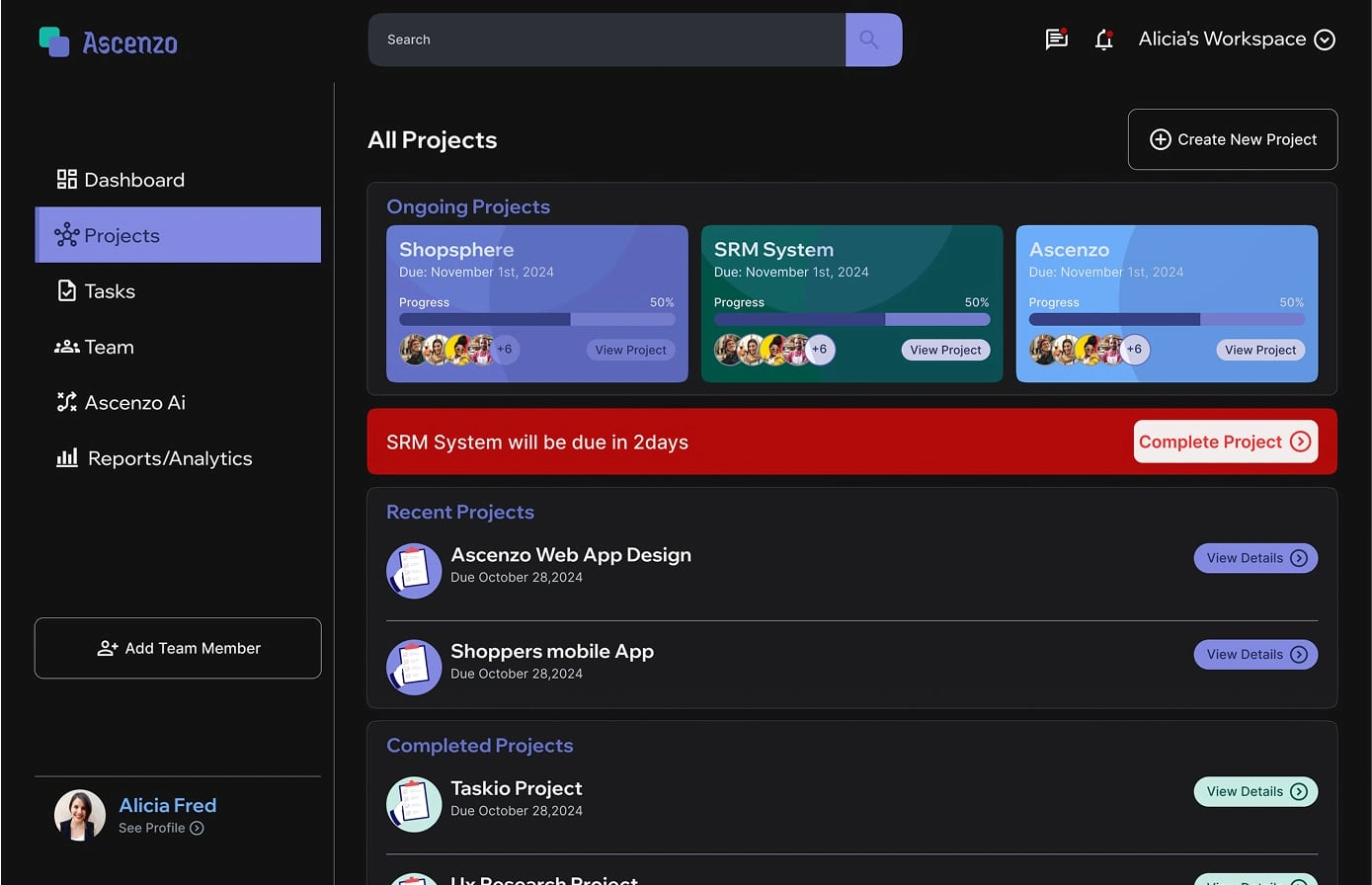 Project screen