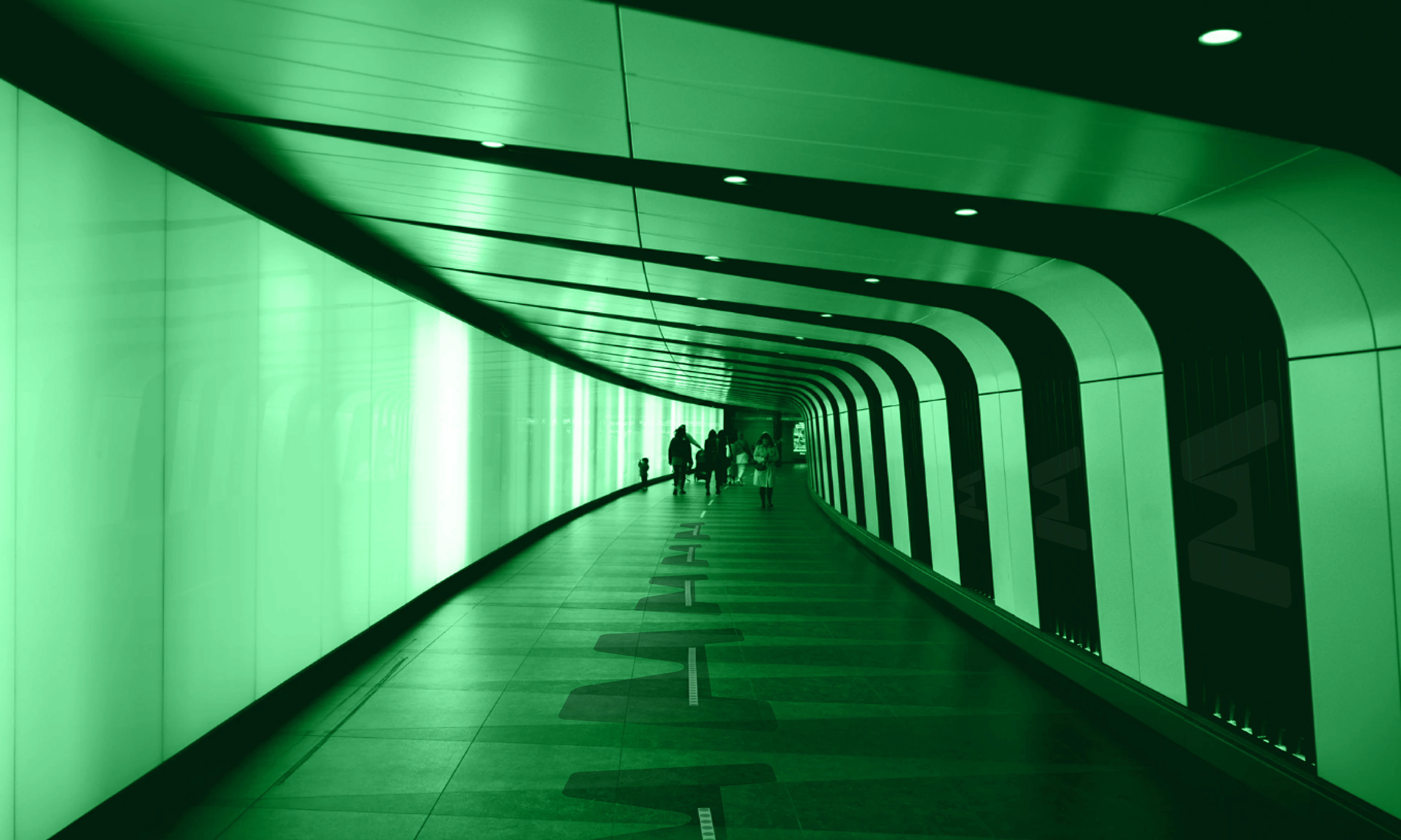 Echosense Brnad Mockup