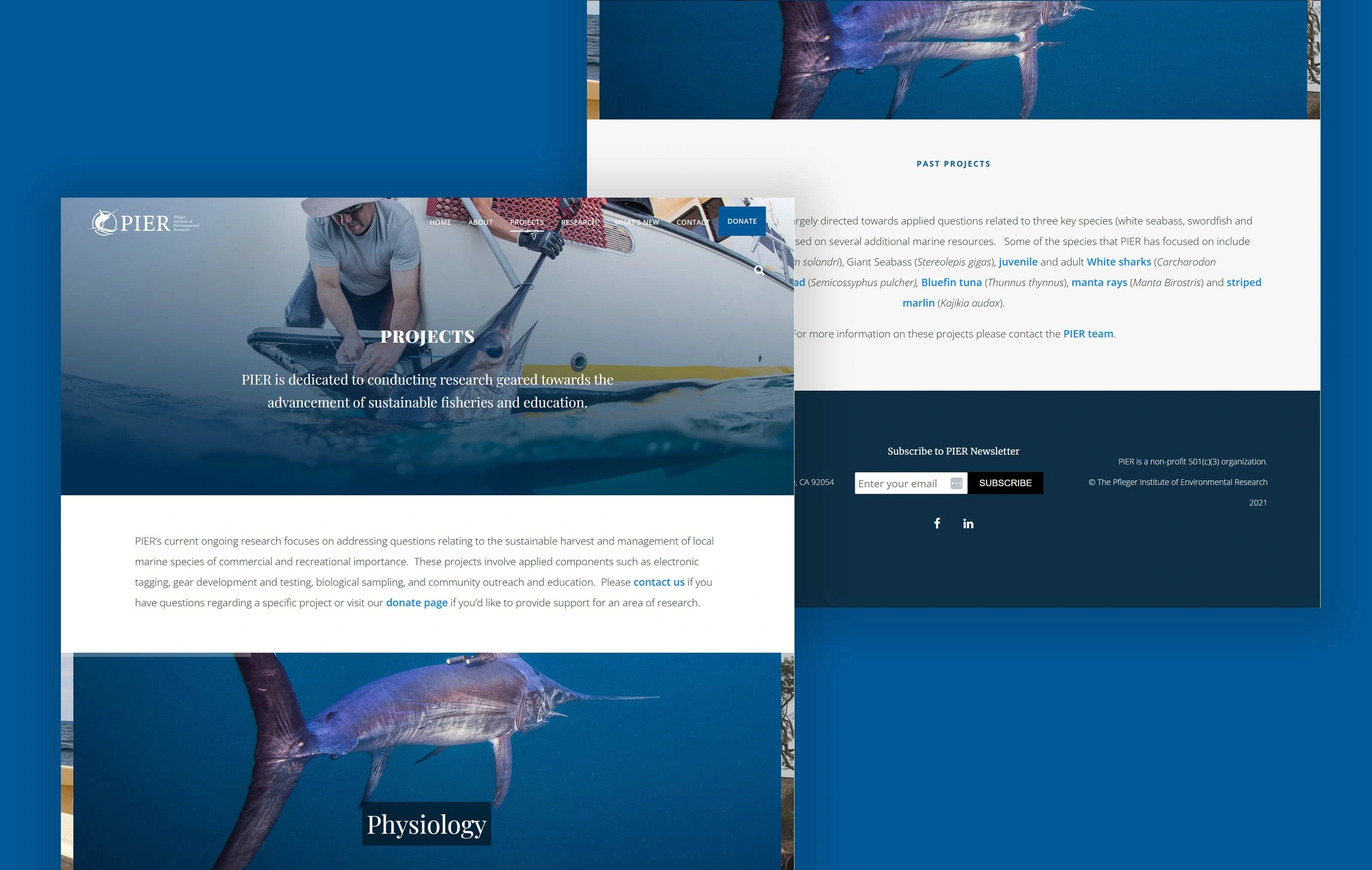 Projects Page