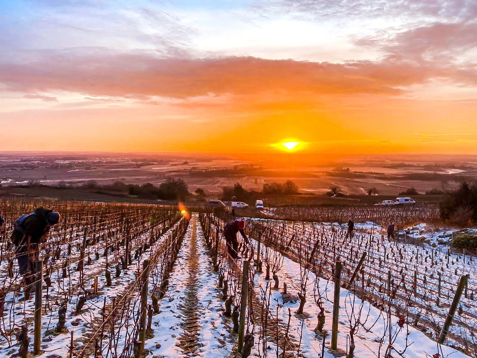 Basic Guide to Burgundy