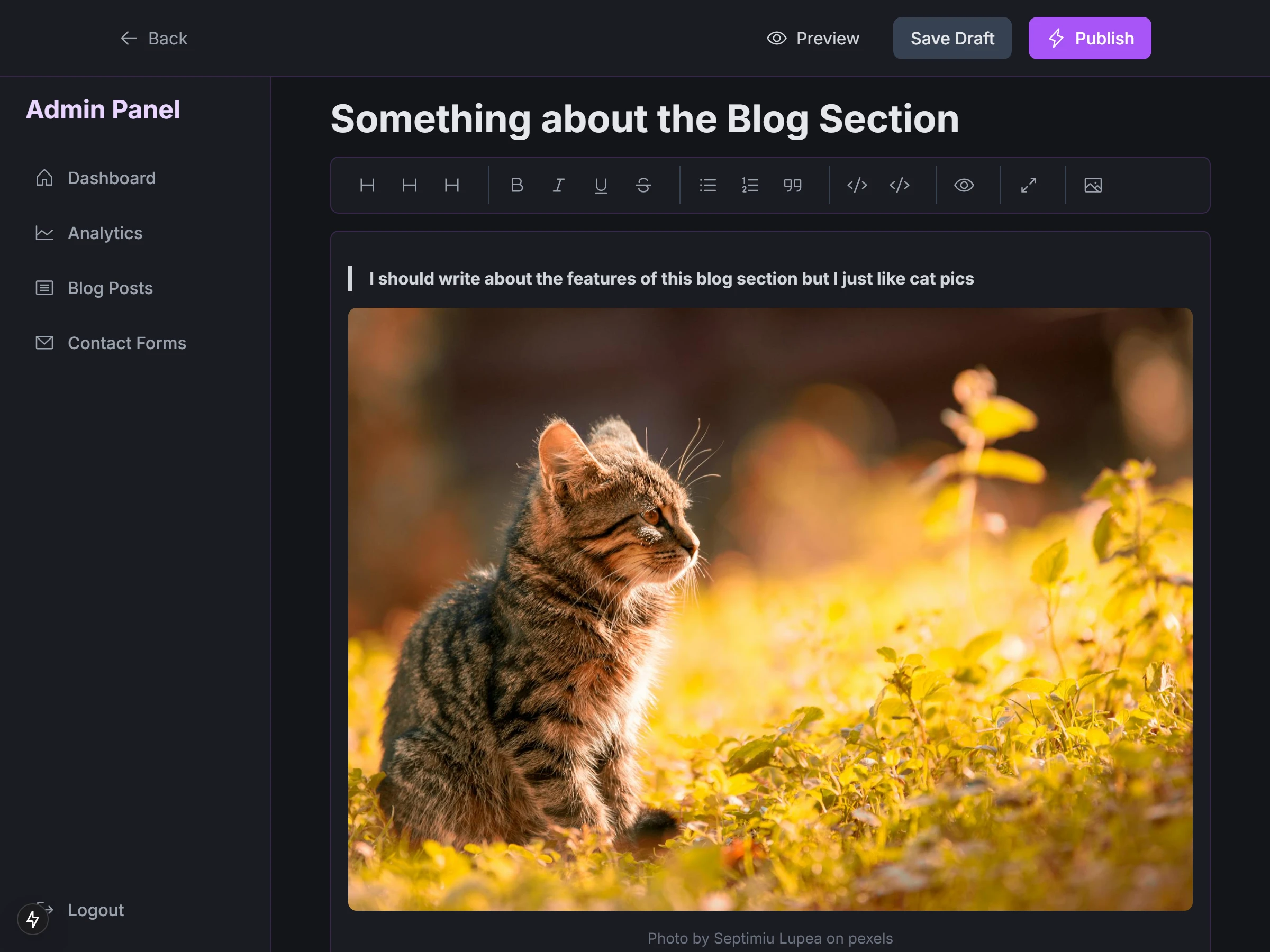 Custom Blog creation section