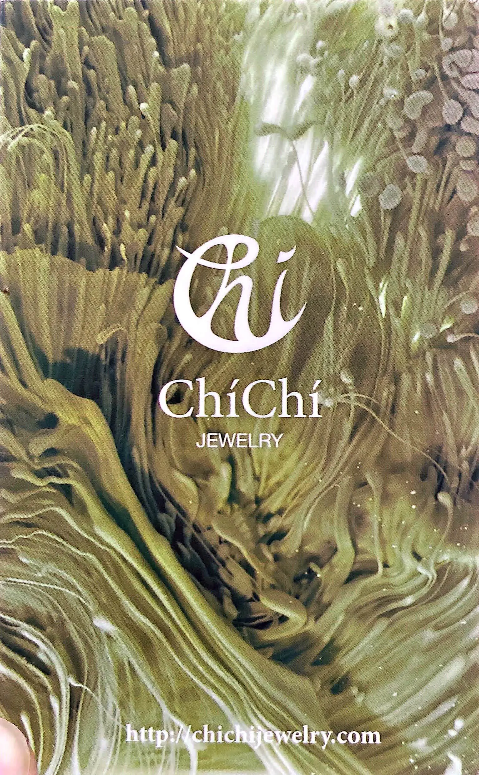 The client's current logo and business card