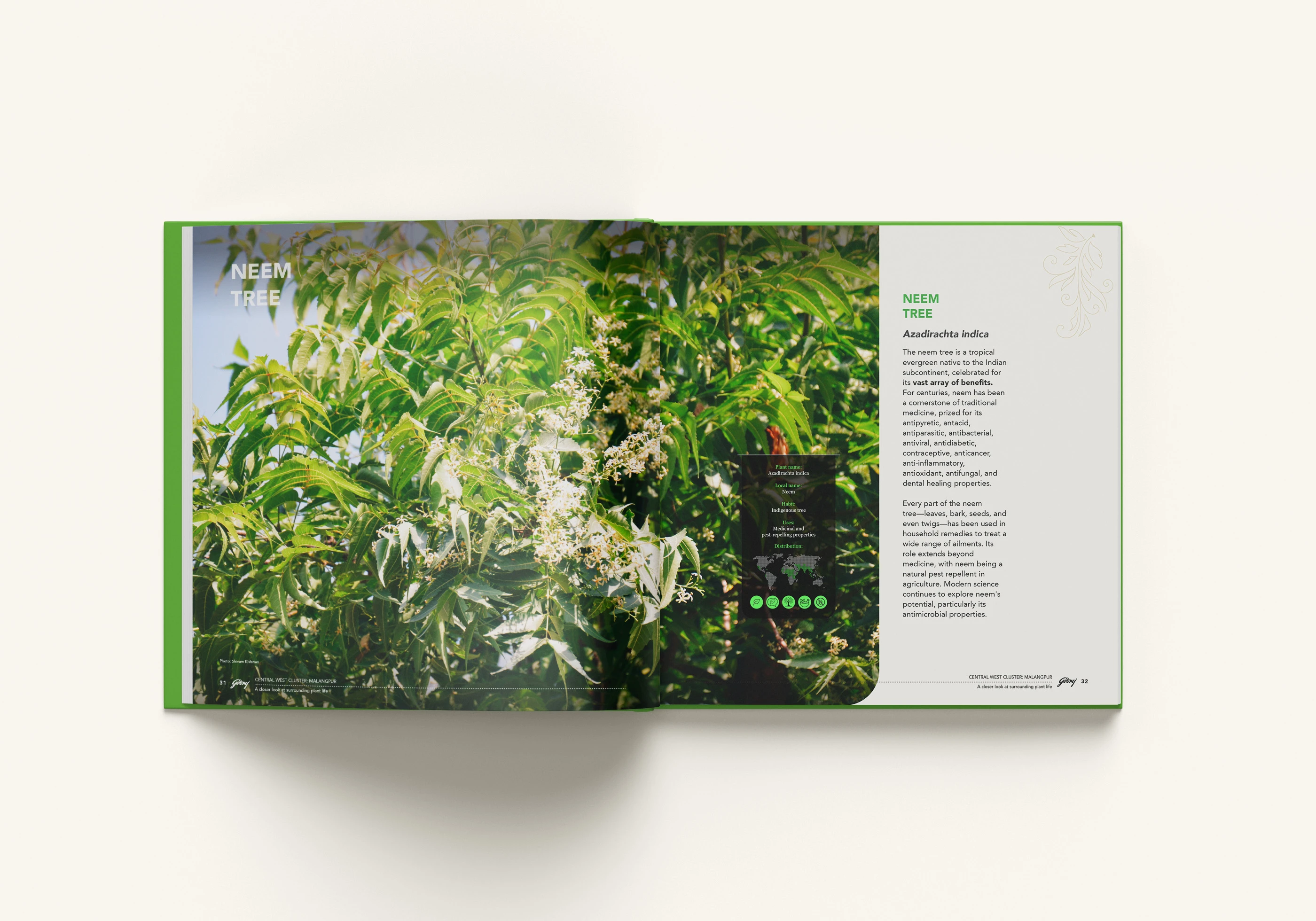 Inside Page Layout