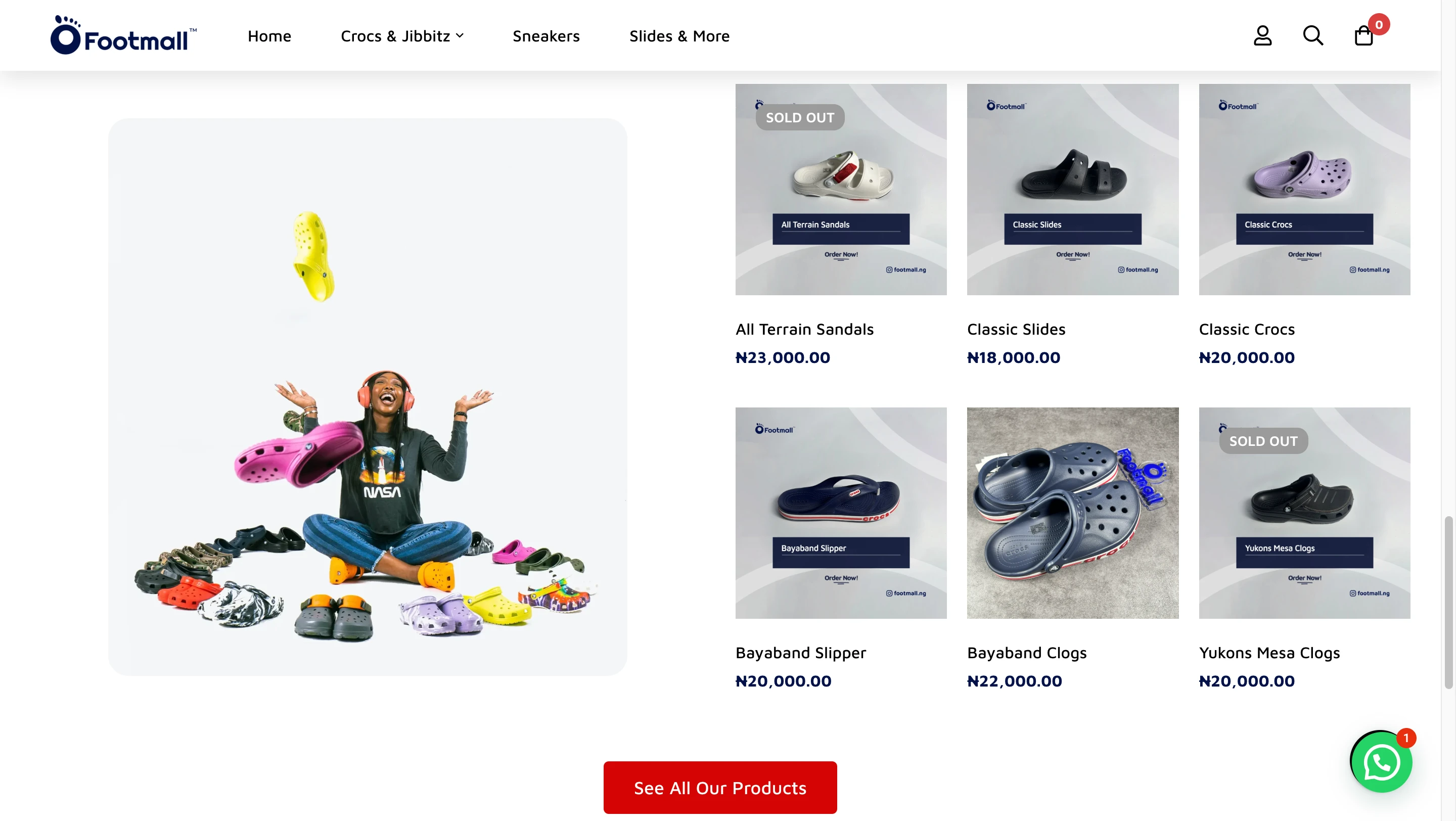 responsive e-commerce platform built with WordPress
