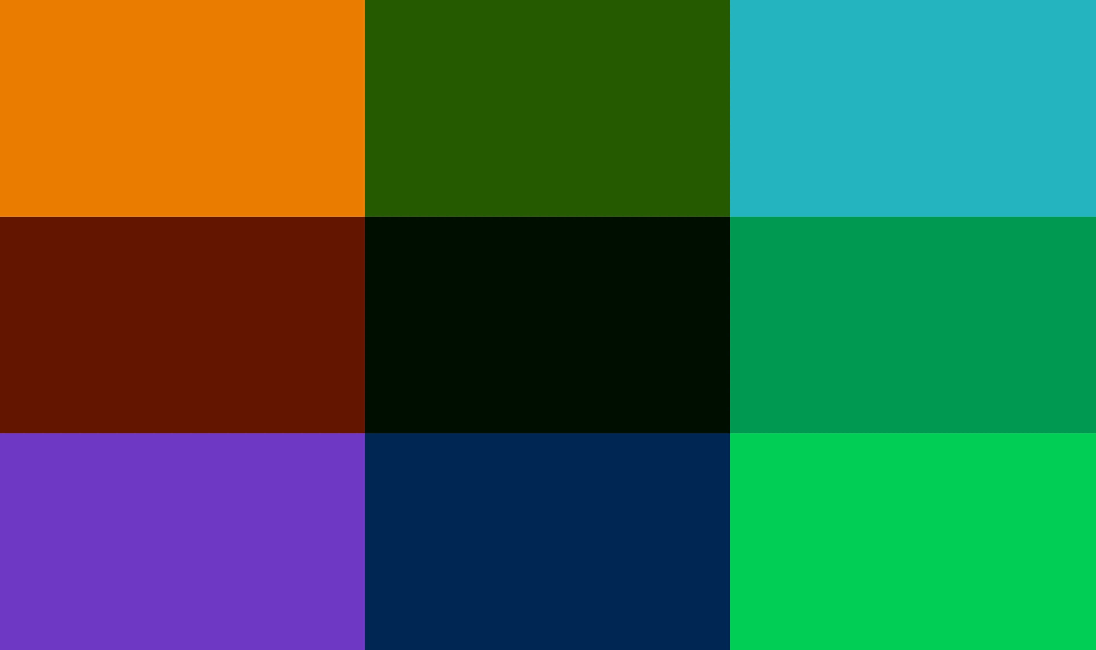 The colors that make the brand