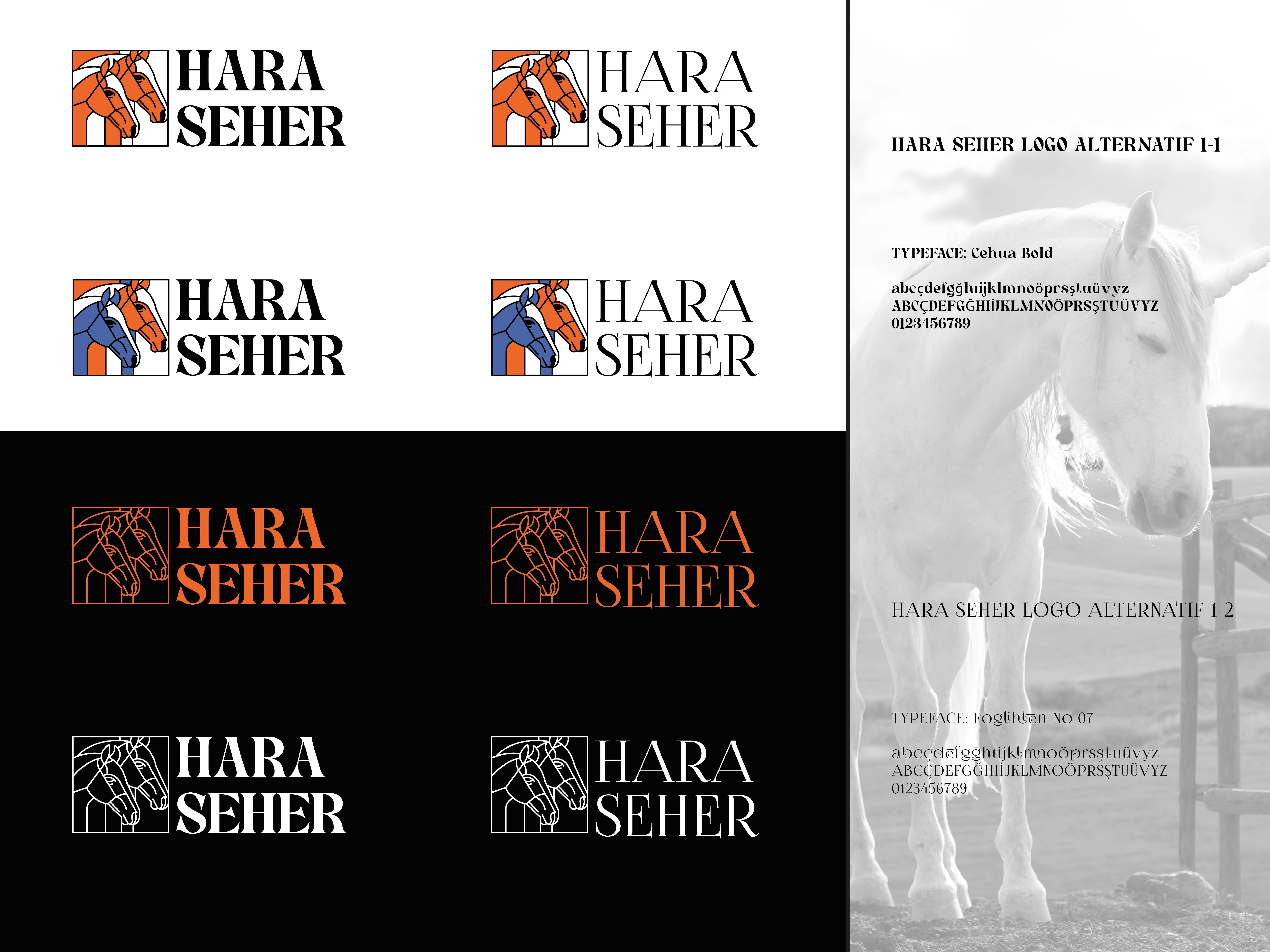 HARA SEHER LOGO DESIGN