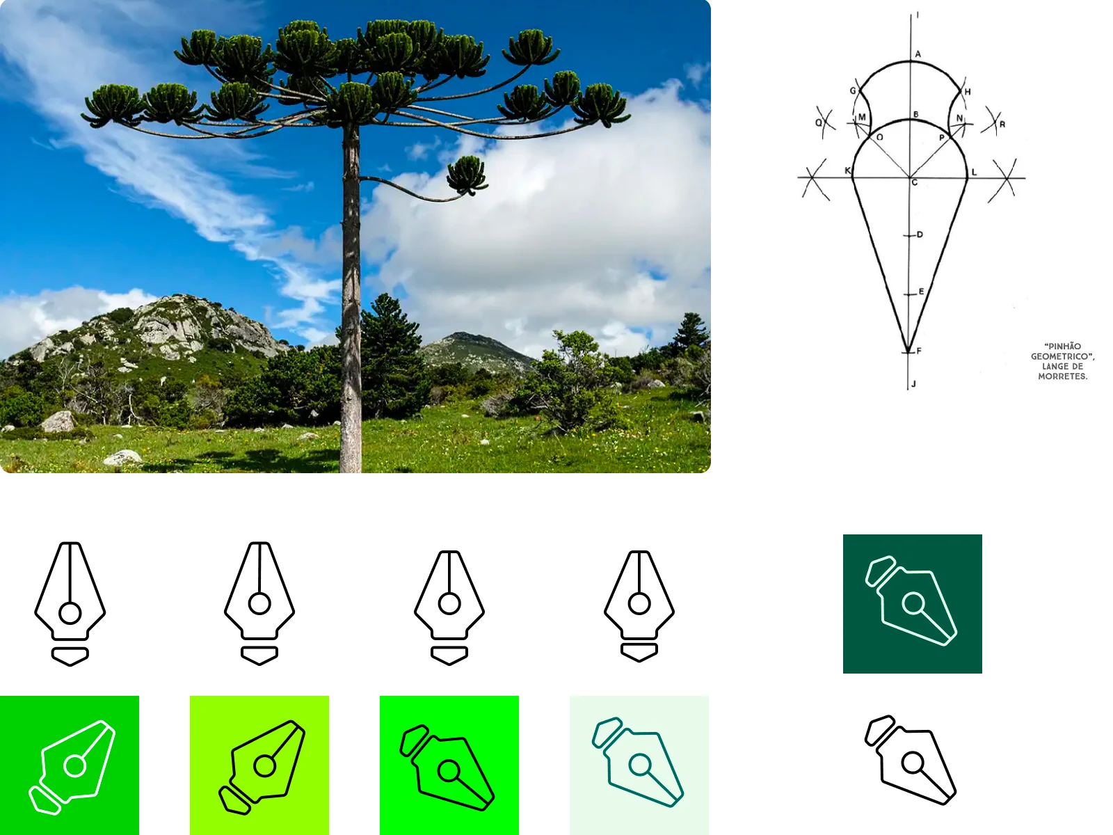 The concept started from the Araucaria pine — a strong Brazilian symbol. Early sketches explored how to distill it into a simple, geometric mark.