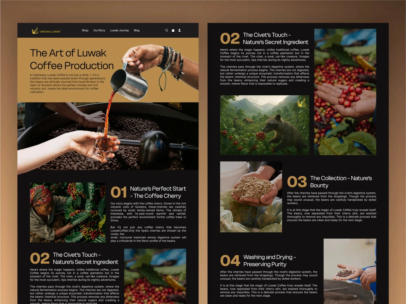 After Redesign - Our Story Page