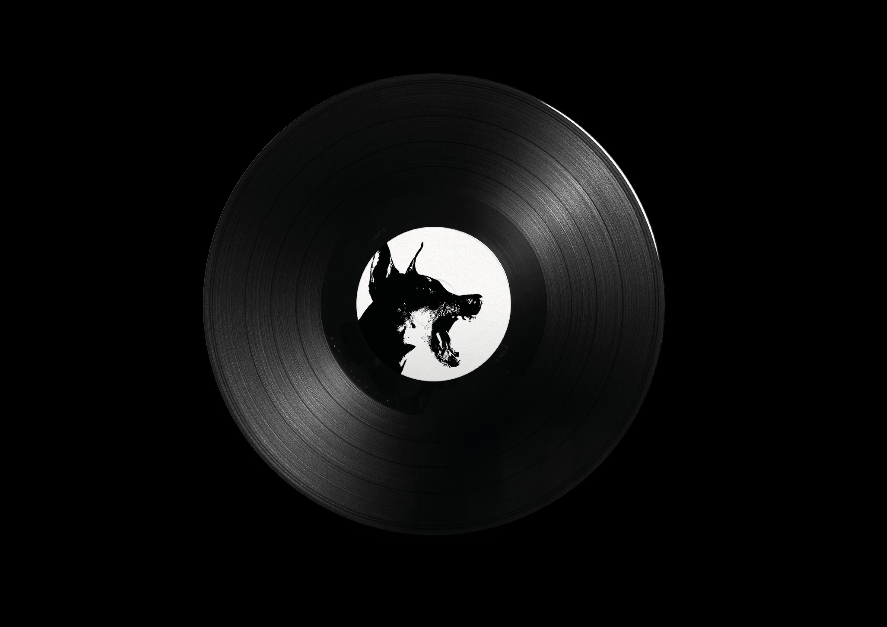 Vinyl