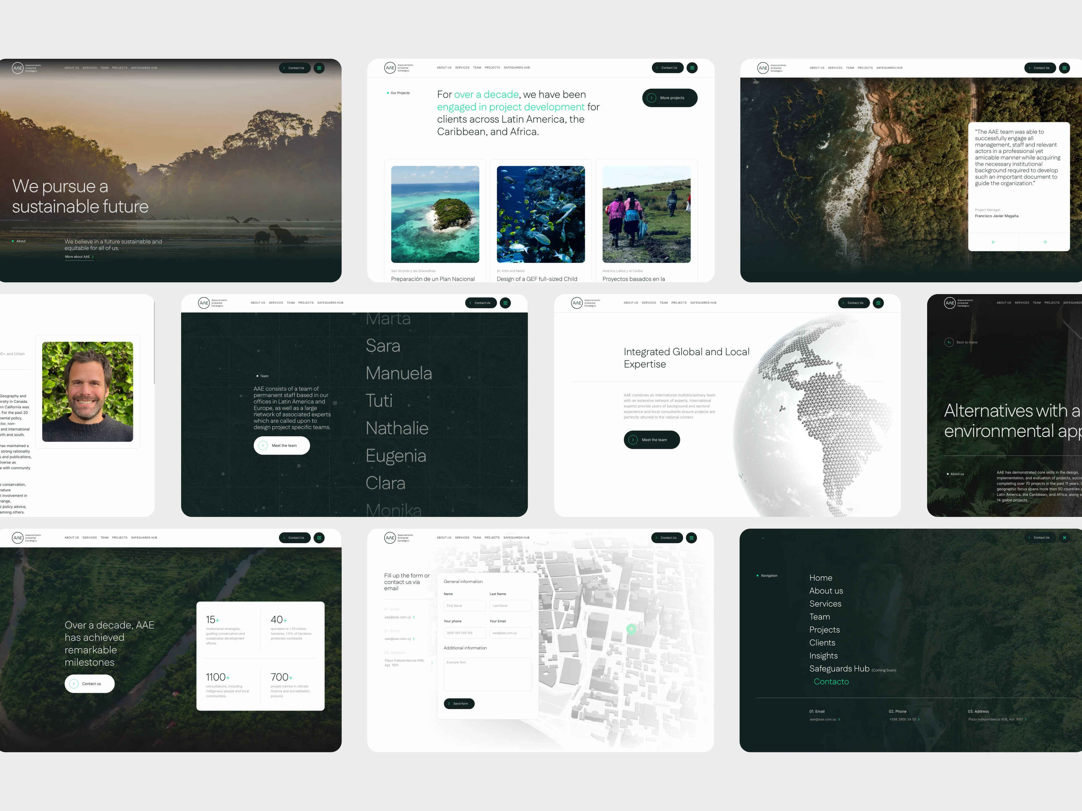 Web design
