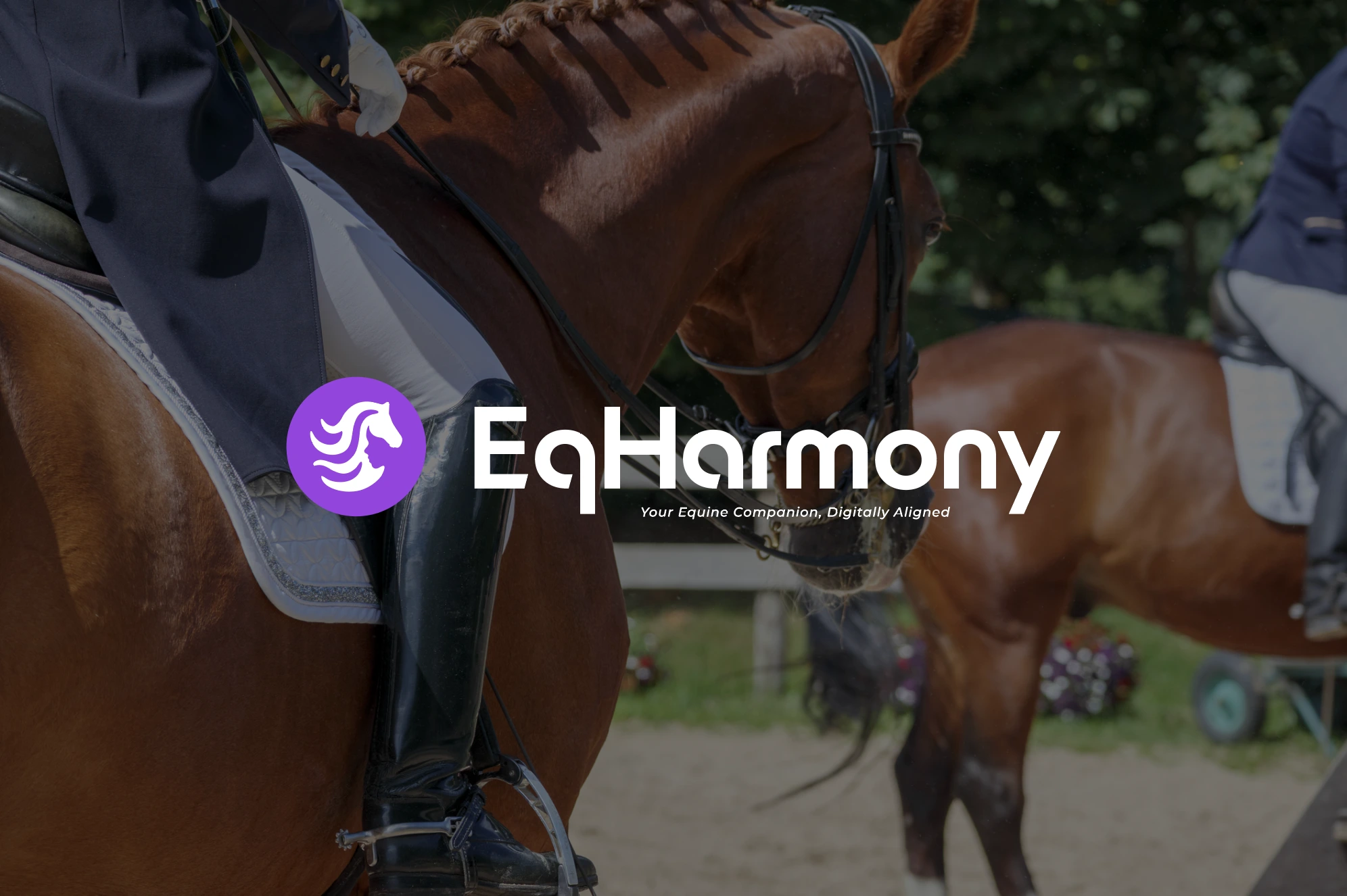 Logo Design, Logo Designer, Visual Designer, Brand Identity, Brand Identity Design, Branding, , Brand Design, Brand Strategist, Creative Strategist, Brand Guidelines, Graphic Designer, Adobe Illustrator, Adobe Photoshop - EqHarmony, Digital Equestrian Platform