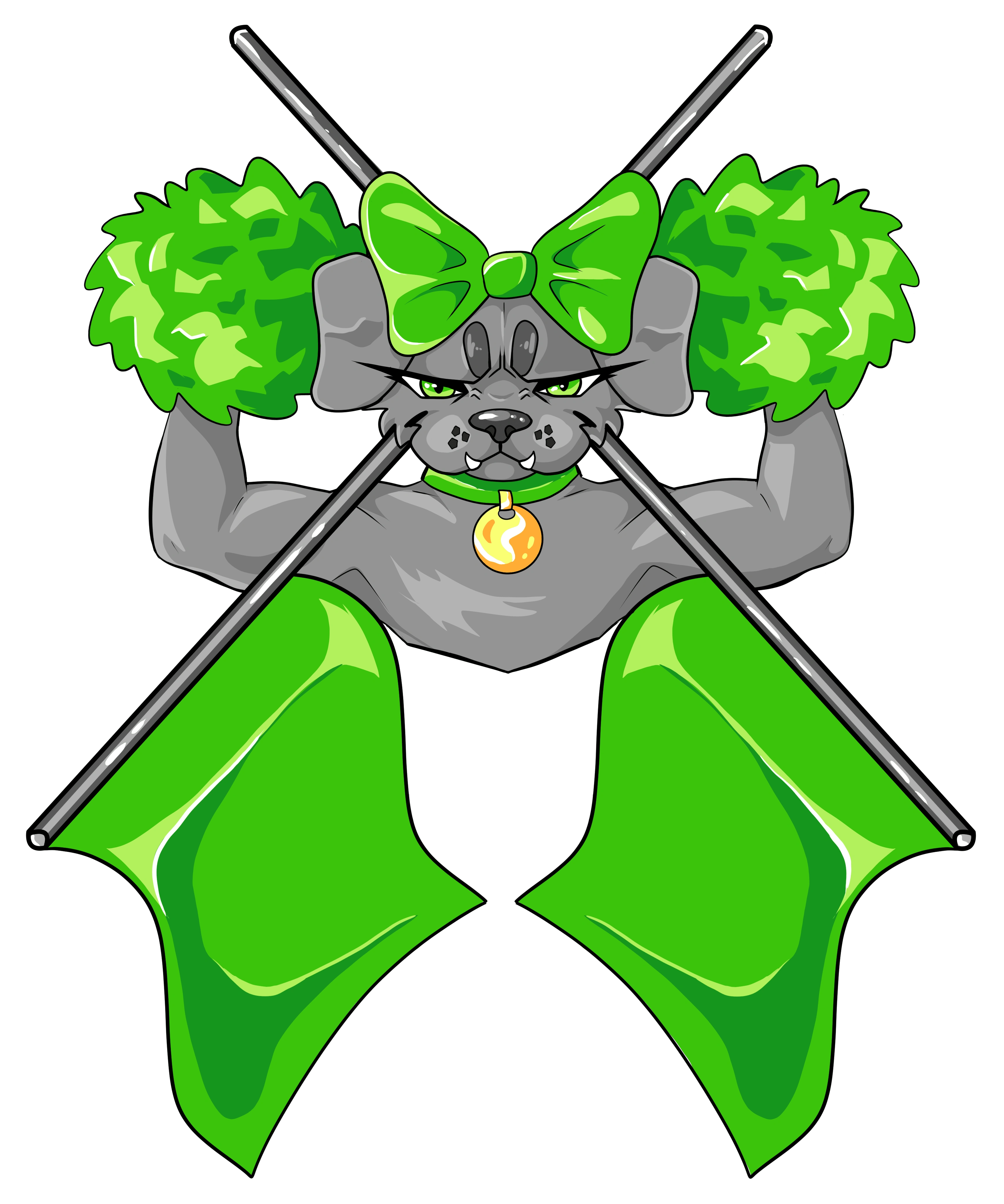 Color guard spirit shirts (w/o text)