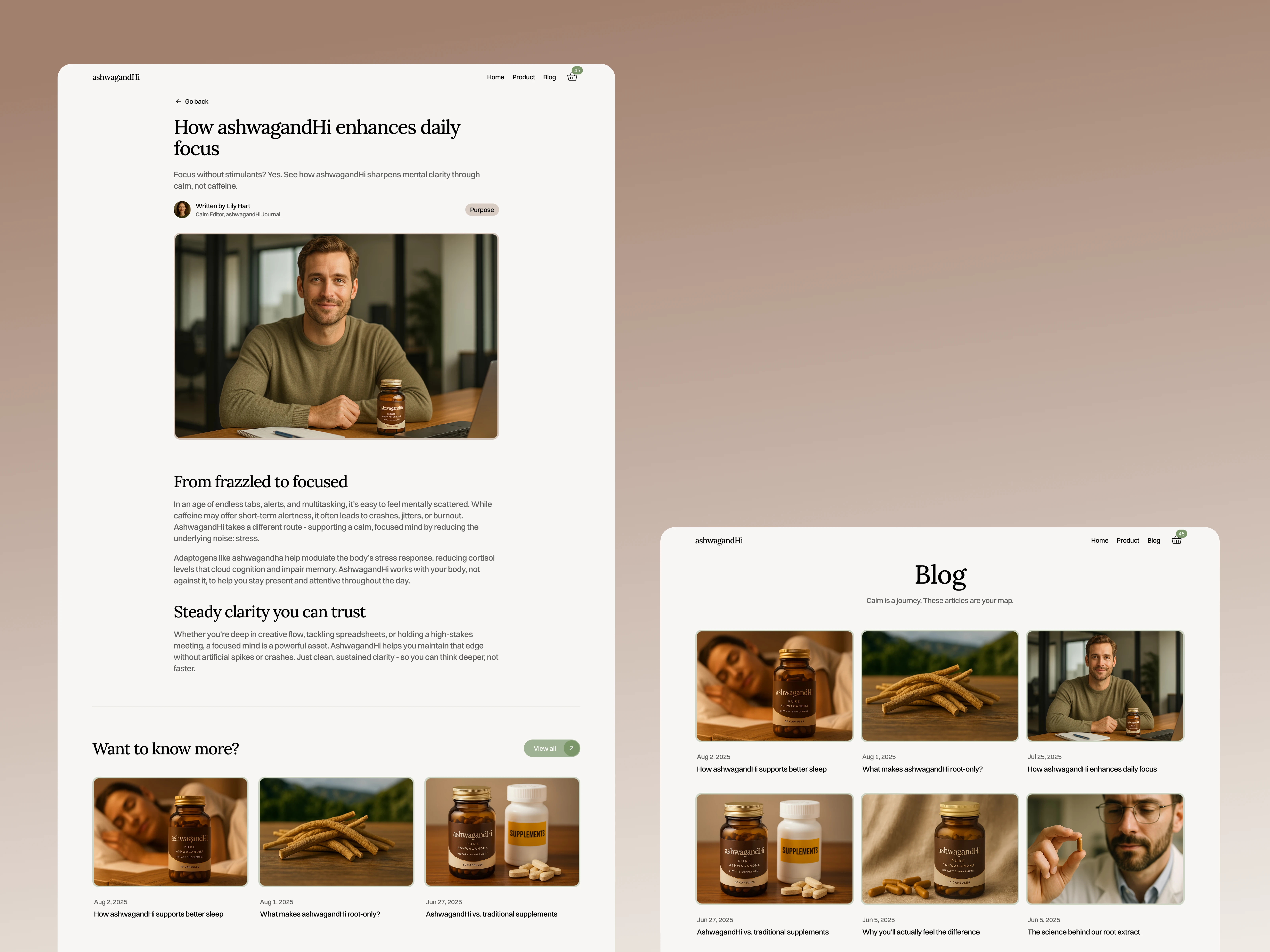 Blog Pillar & Article Pages