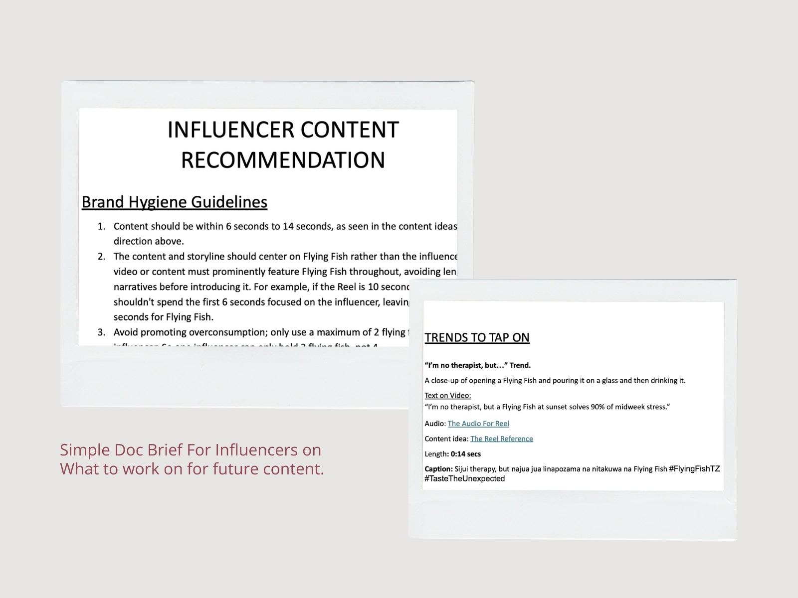 Snippets of the influencer document brief