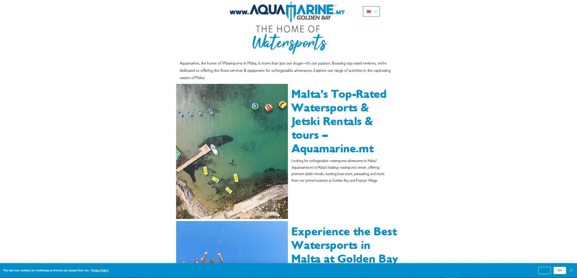 The older Aquamarine website, which was not designed by us