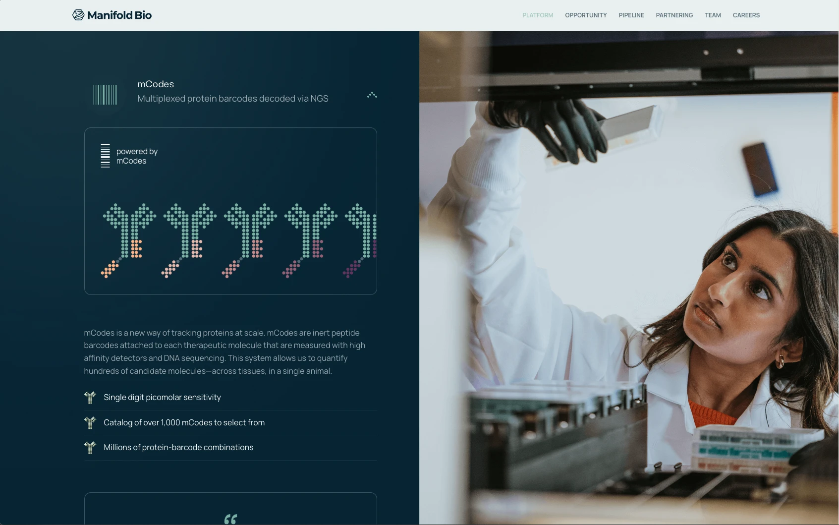 Dropdown toggle with responsive functionality