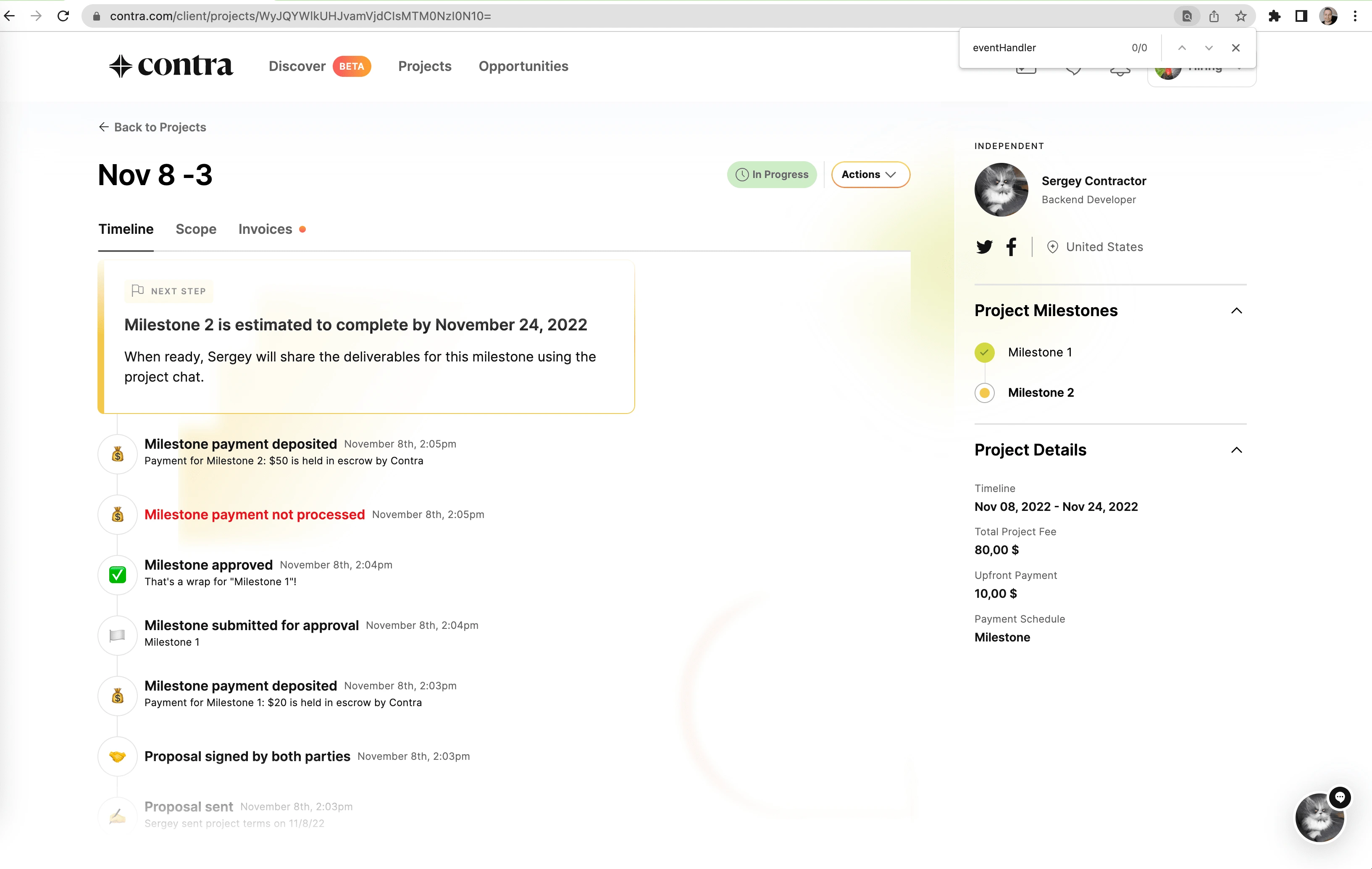 Milestone project timeline