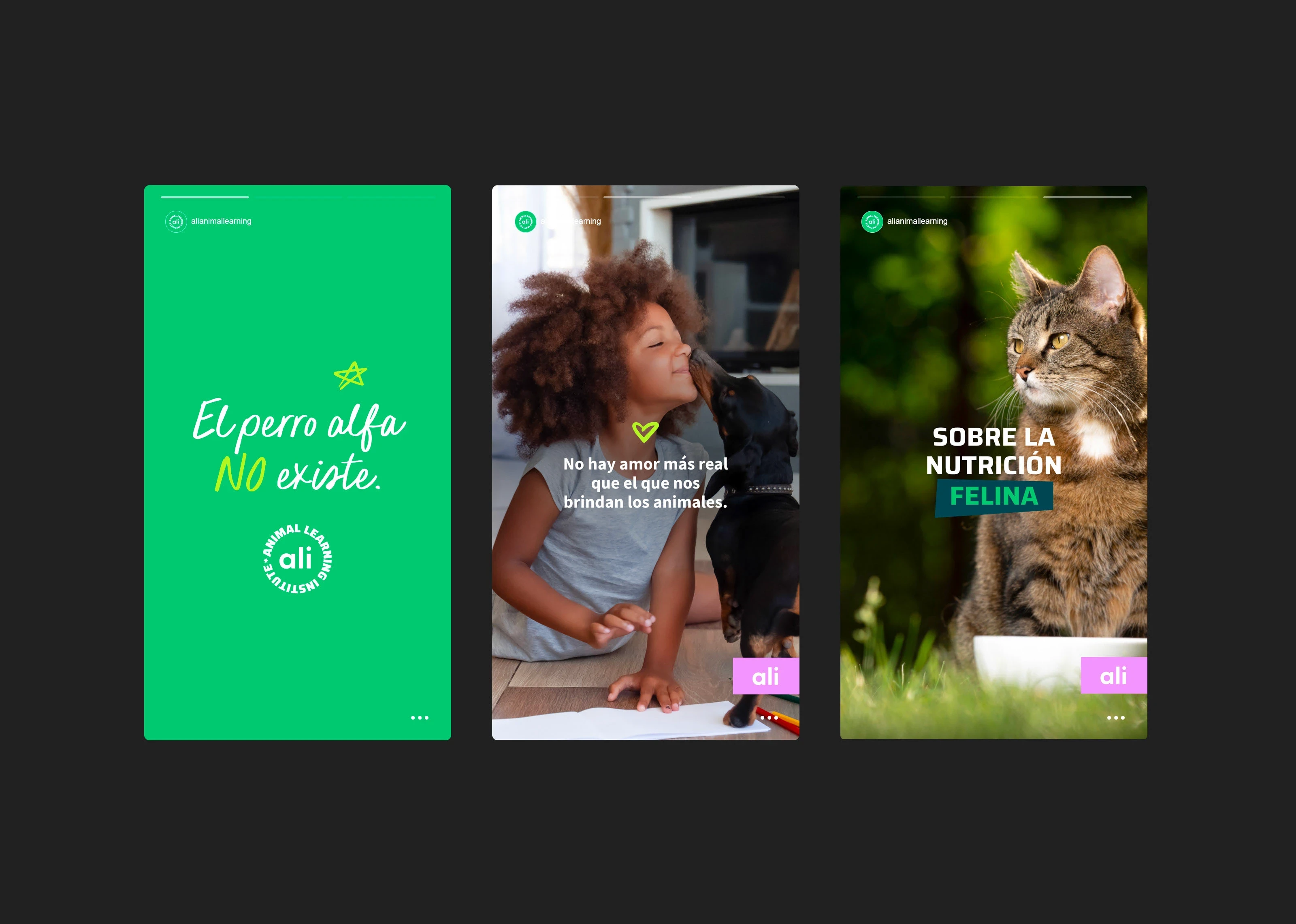 Social Media Assets for ALI / Animal Learning Institute