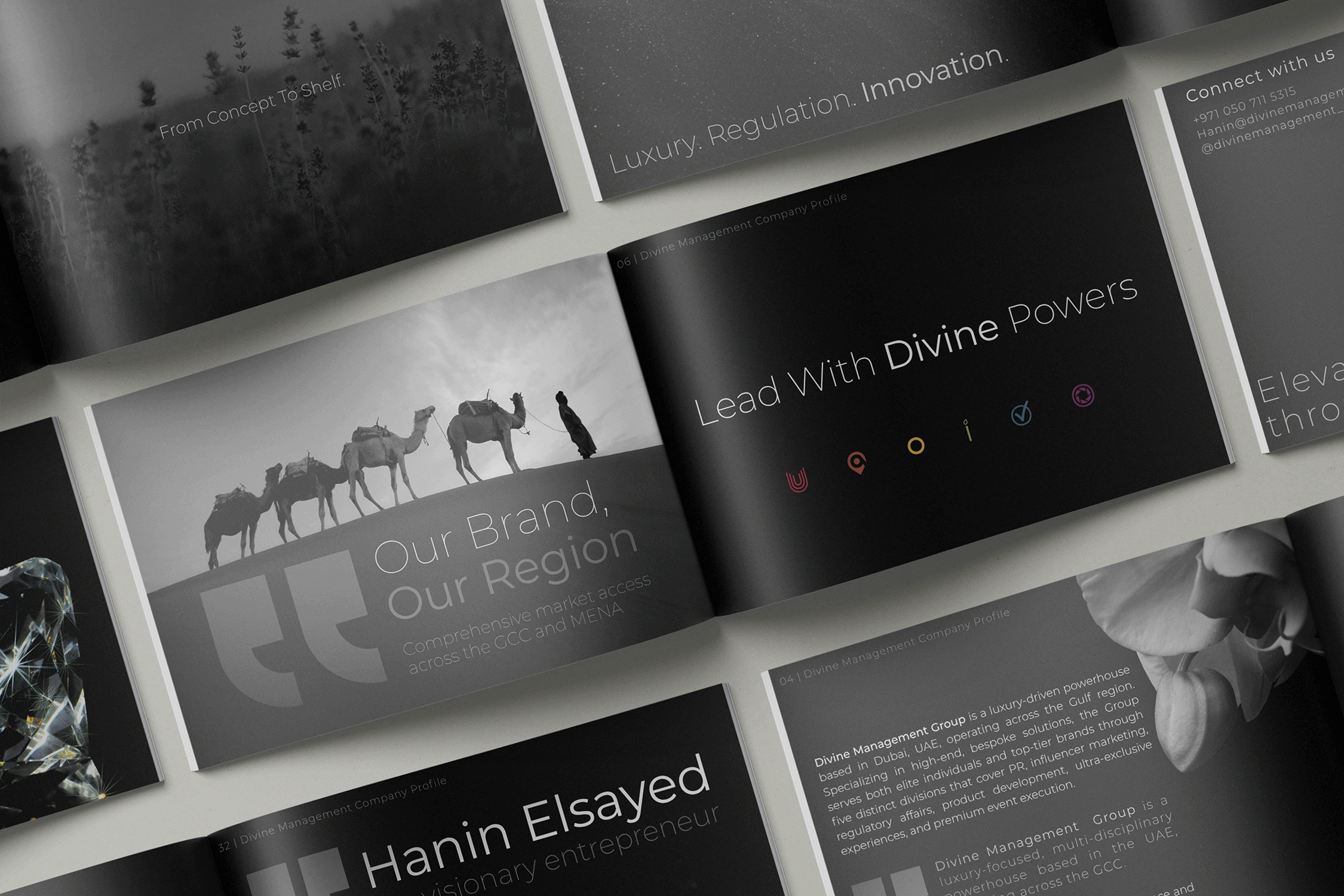 Divine Management Company Profile