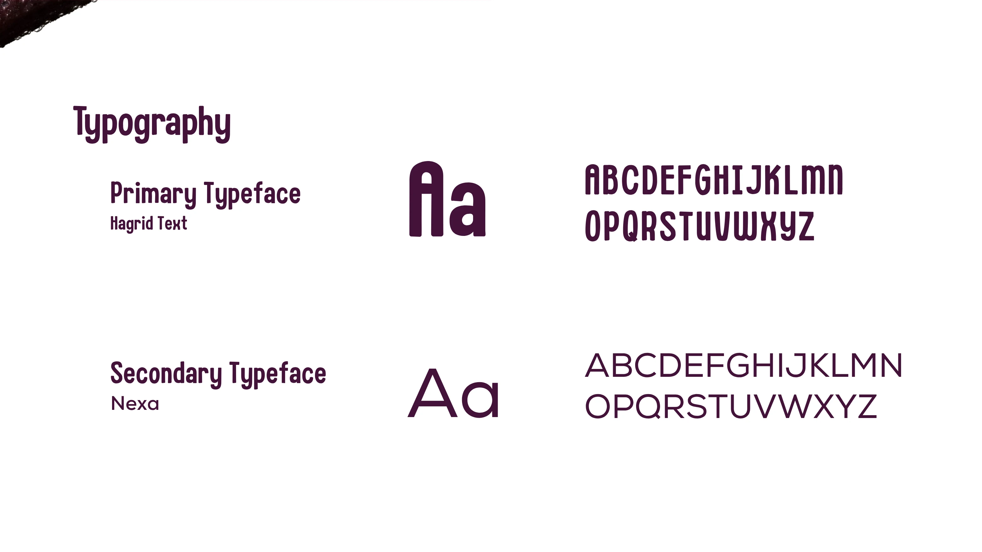 Typography