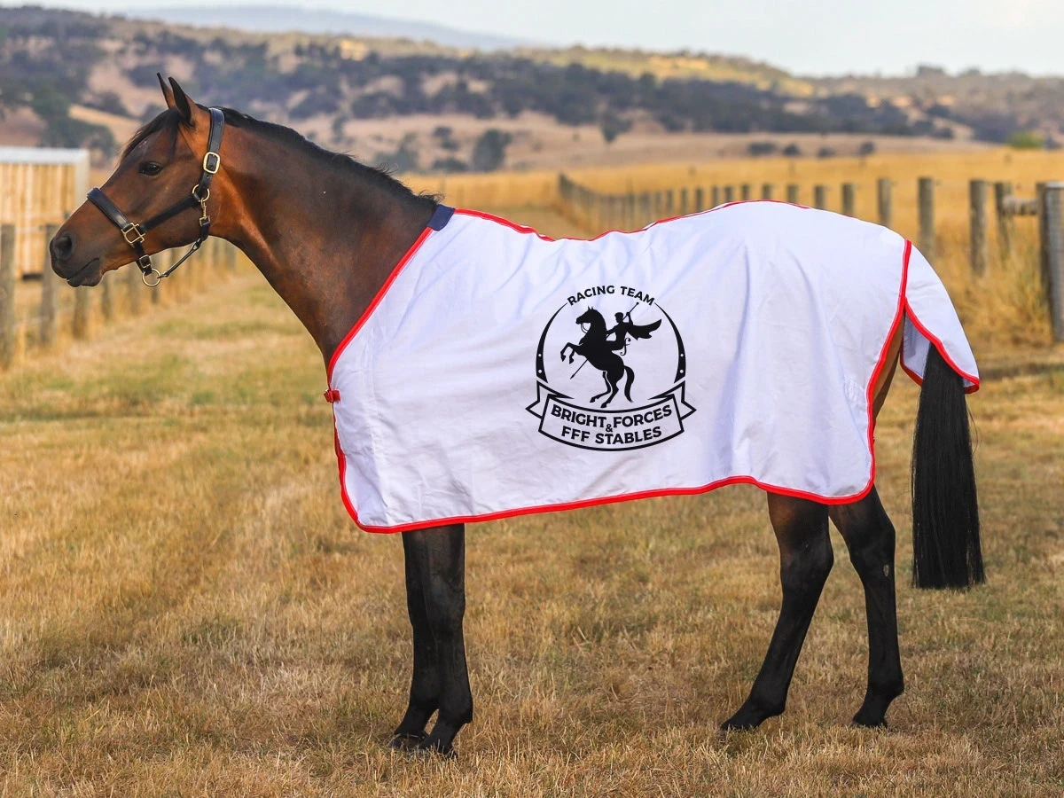 Horse blanket with logo design