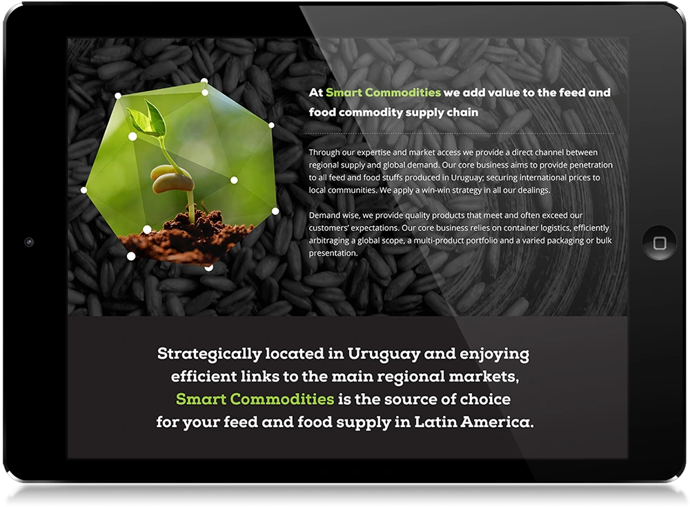 Cohesive branding throughout print and digital