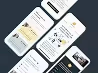 Mobile Responsive Design for Netshore Firm Website  