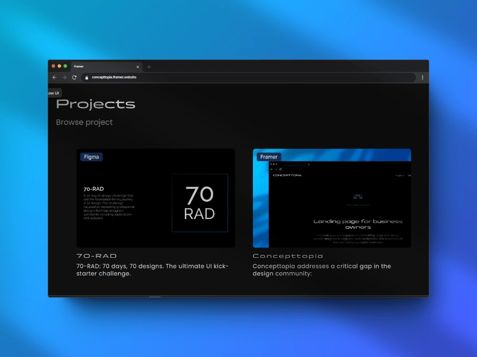 Projects section